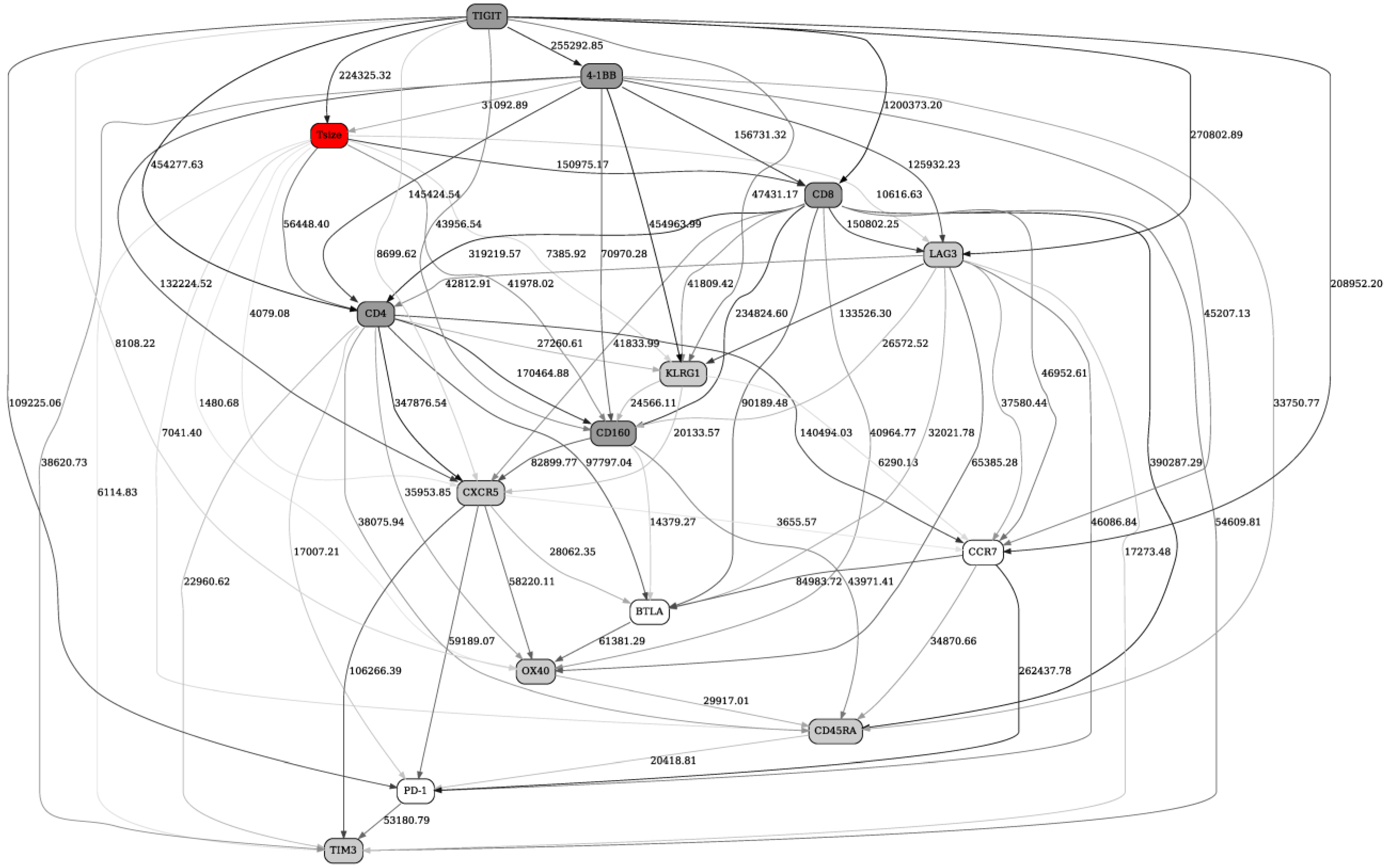 Ijms 22 02316 g001 Ijms 22 02316 g001