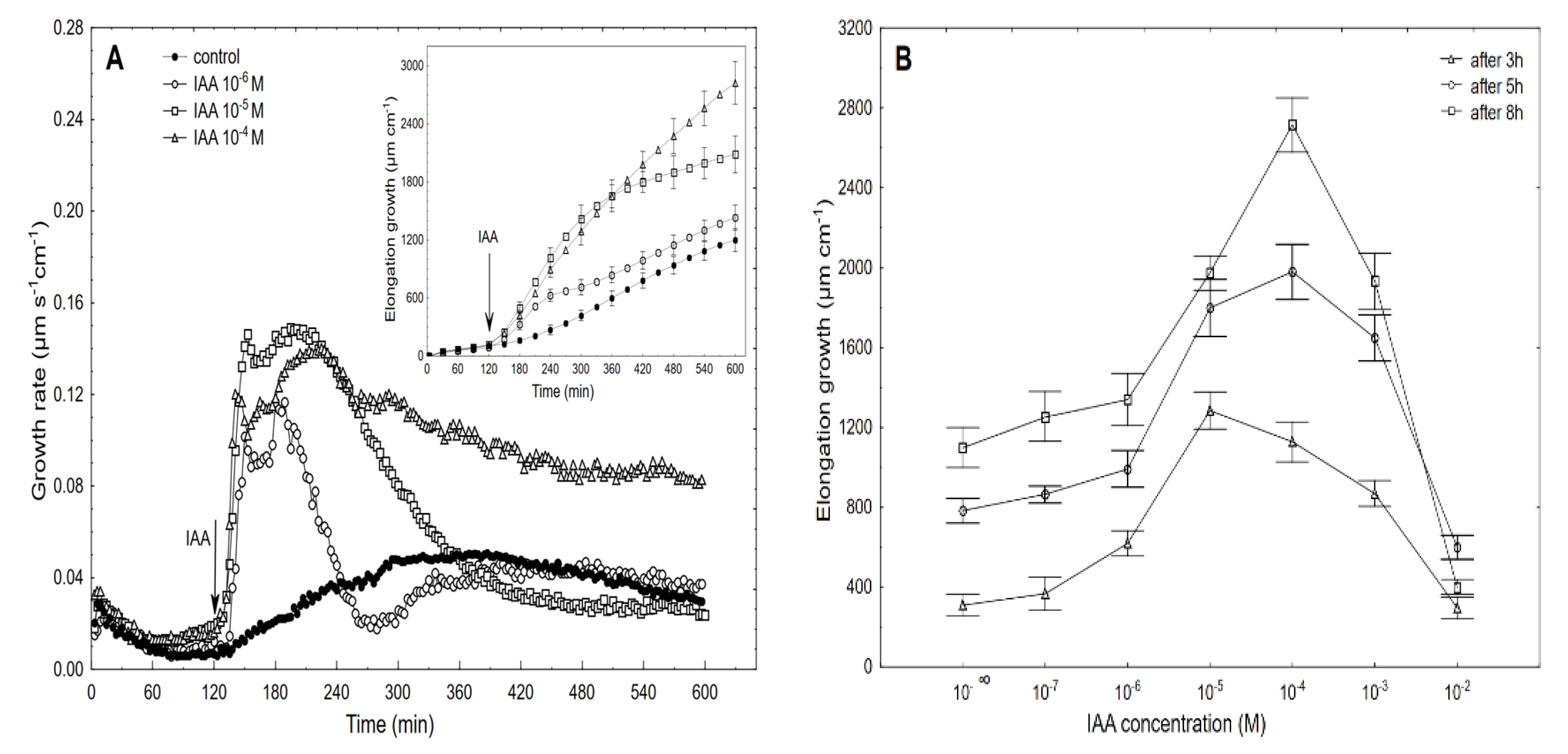 Ijms 22 02317 g003 Ijms 22 02317 g003