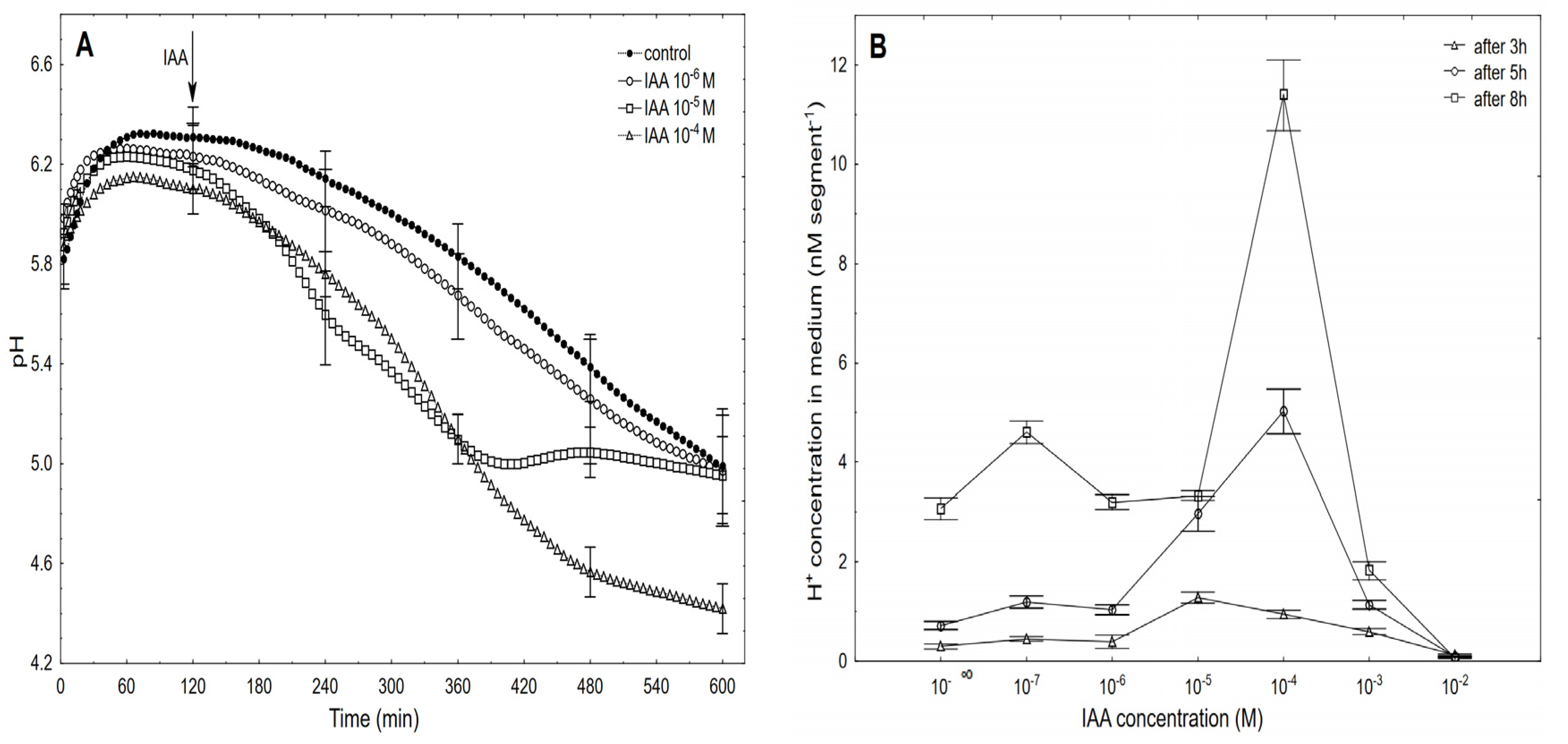 Ijms 22 02317 g004 Ijms 22 02317 g004