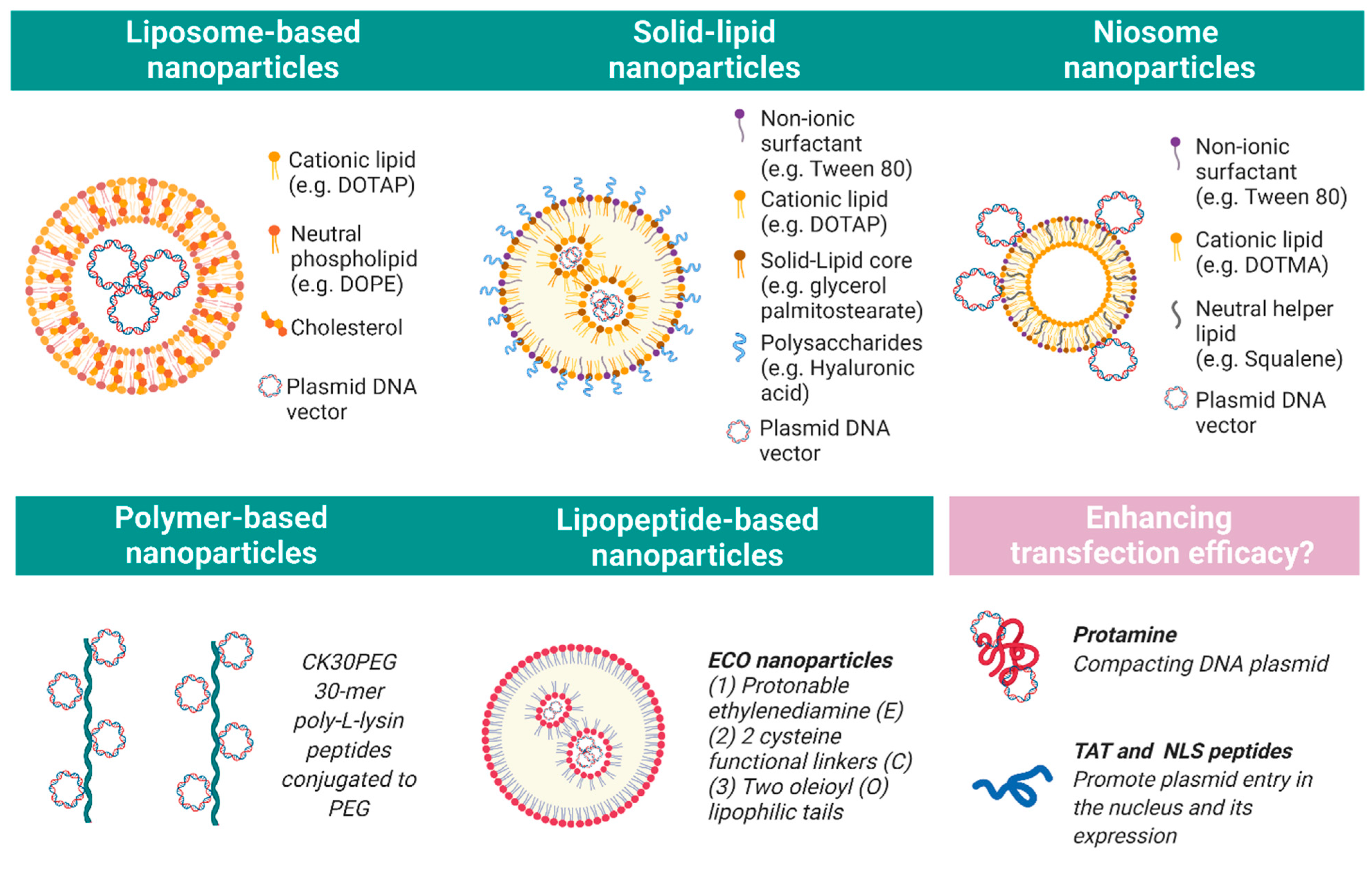 Ijms 22 02318 g002 Ijms 22 02318 g002