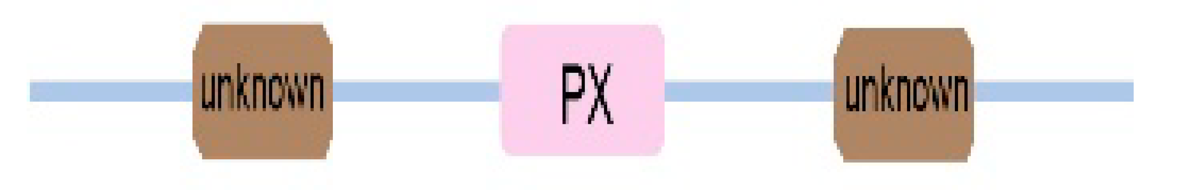 Ijms 22 02319 i005 Ijms 22 02319 i005