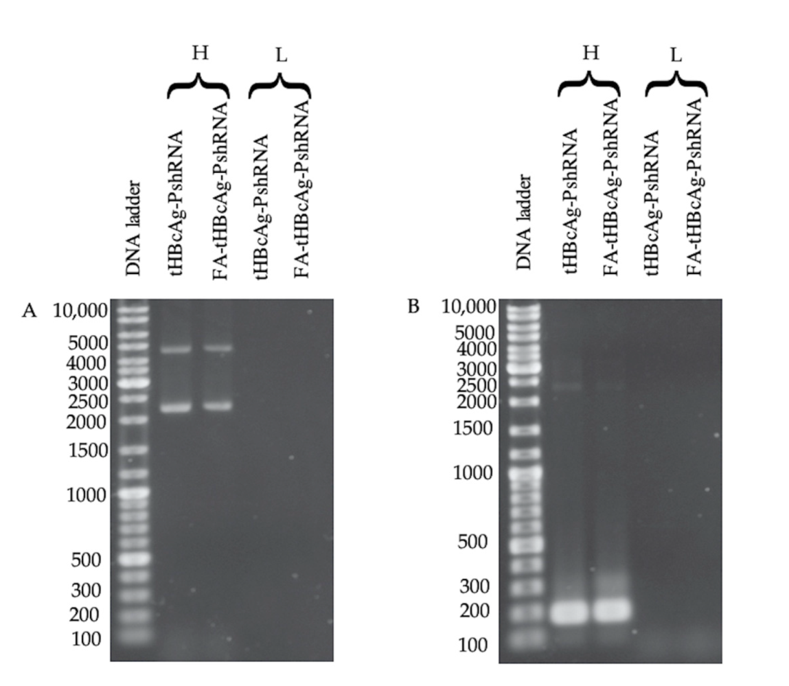 Ijms 22 02320 g003 Ijms 22 02320 g003