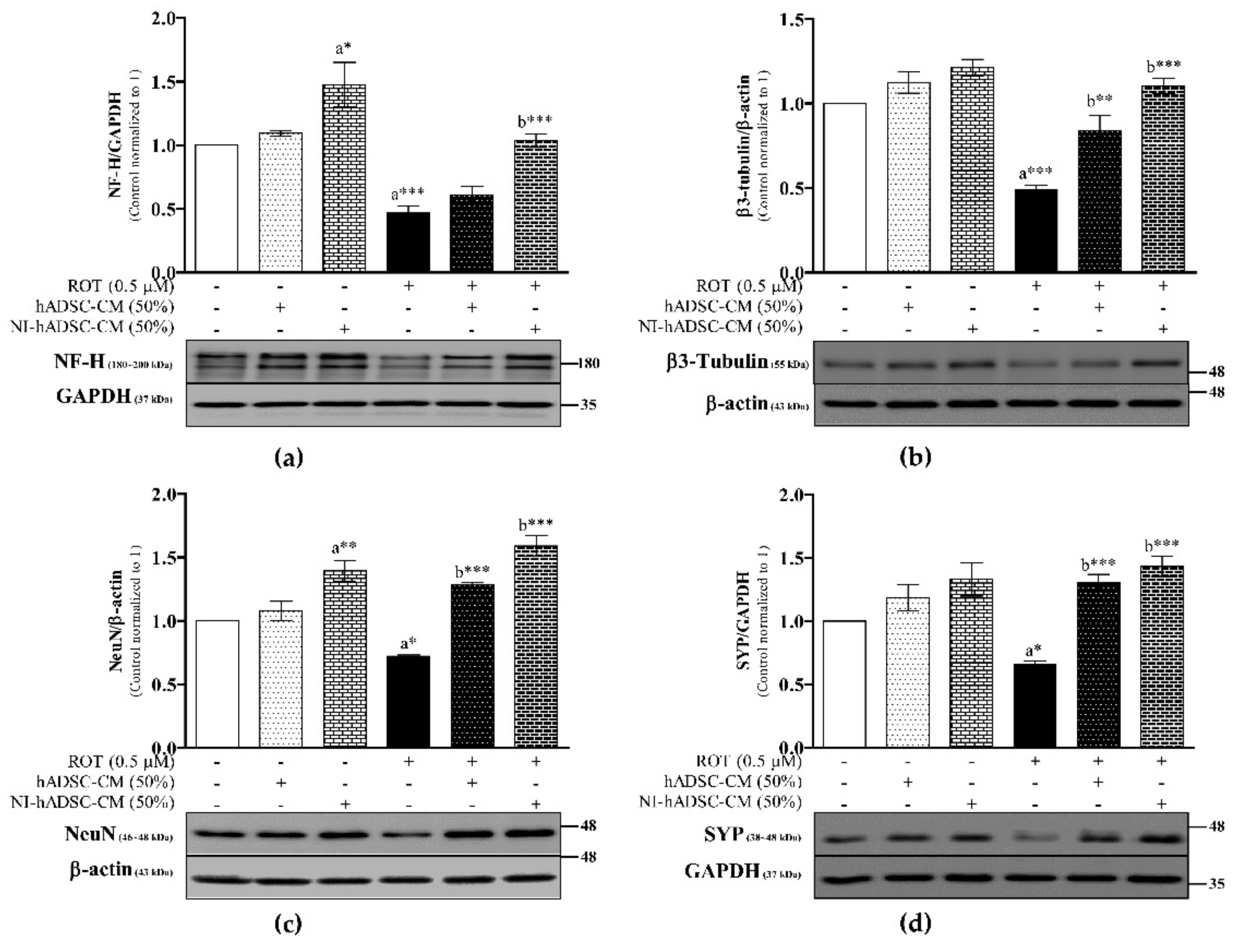 Ijms 22 02322 g005 Ijms 22 02322 g005