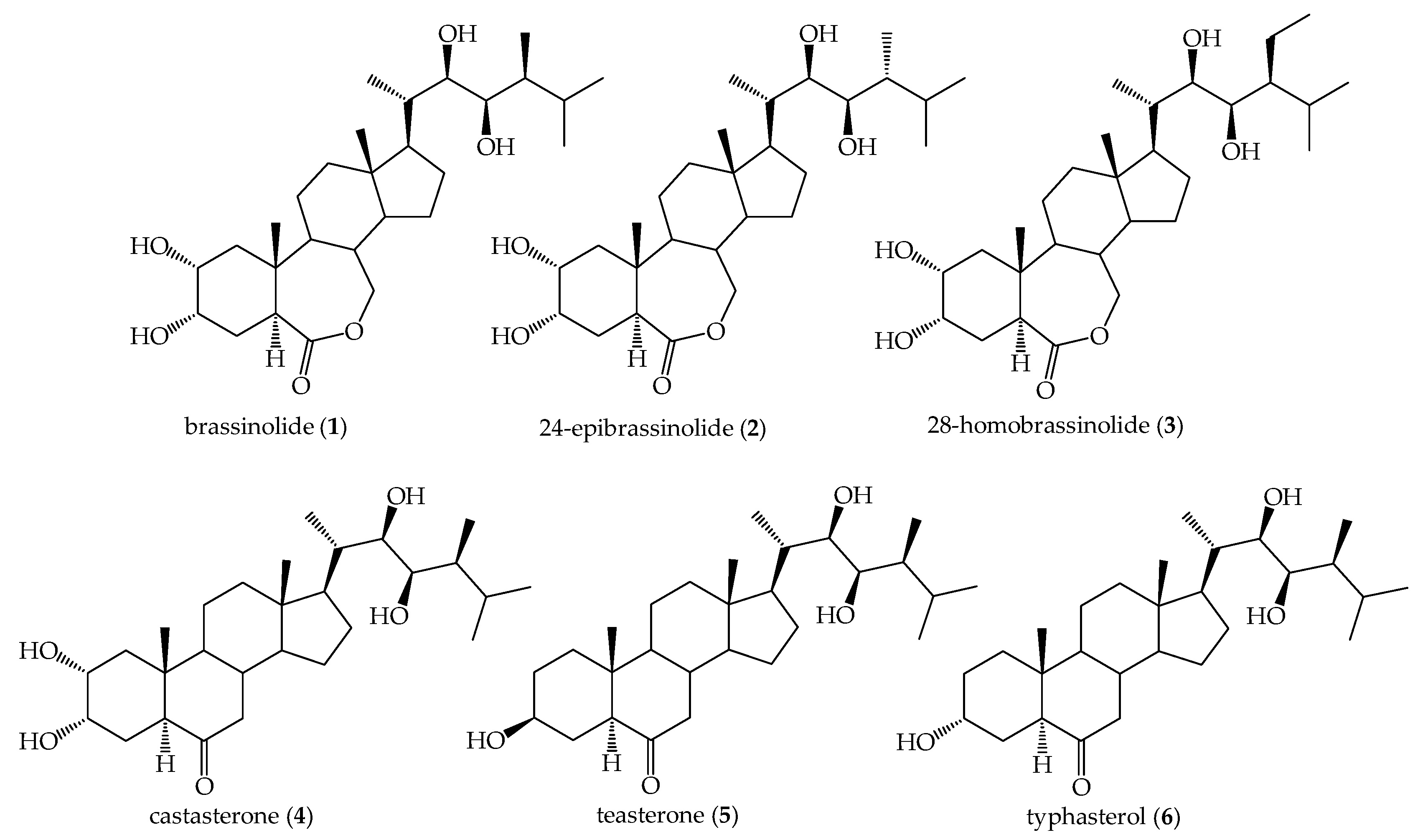 Ijms 22 02330 g001 Ijms 22 02330 g001