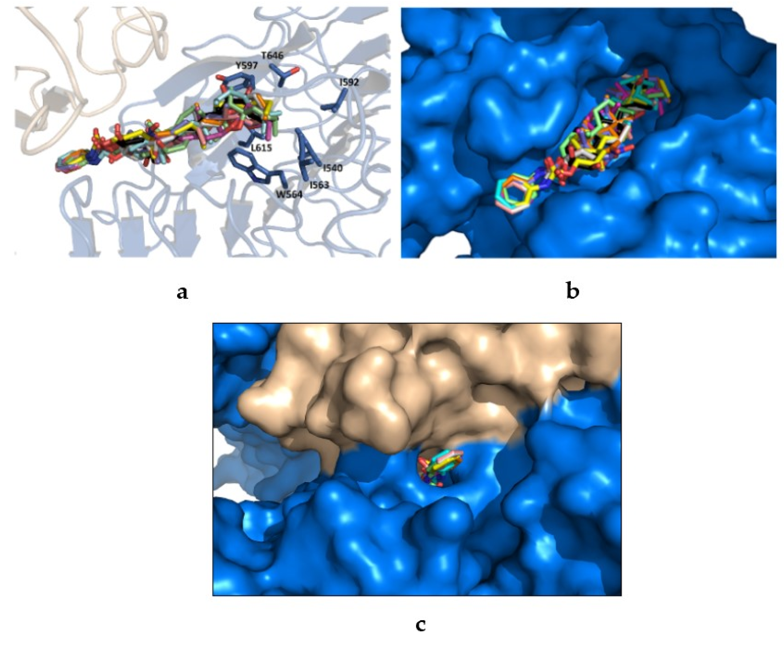 Ijms 22 02330 g005 Ijms 22 02330 g005