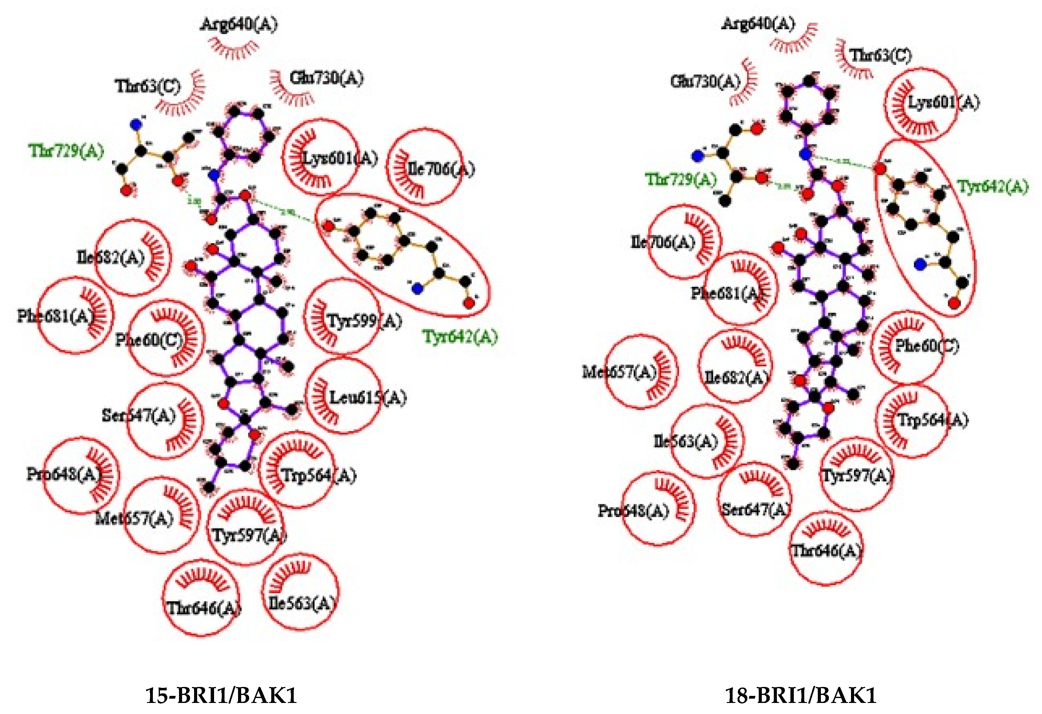 Ijms 22 02330 g006 Ijms 22 02330 g006