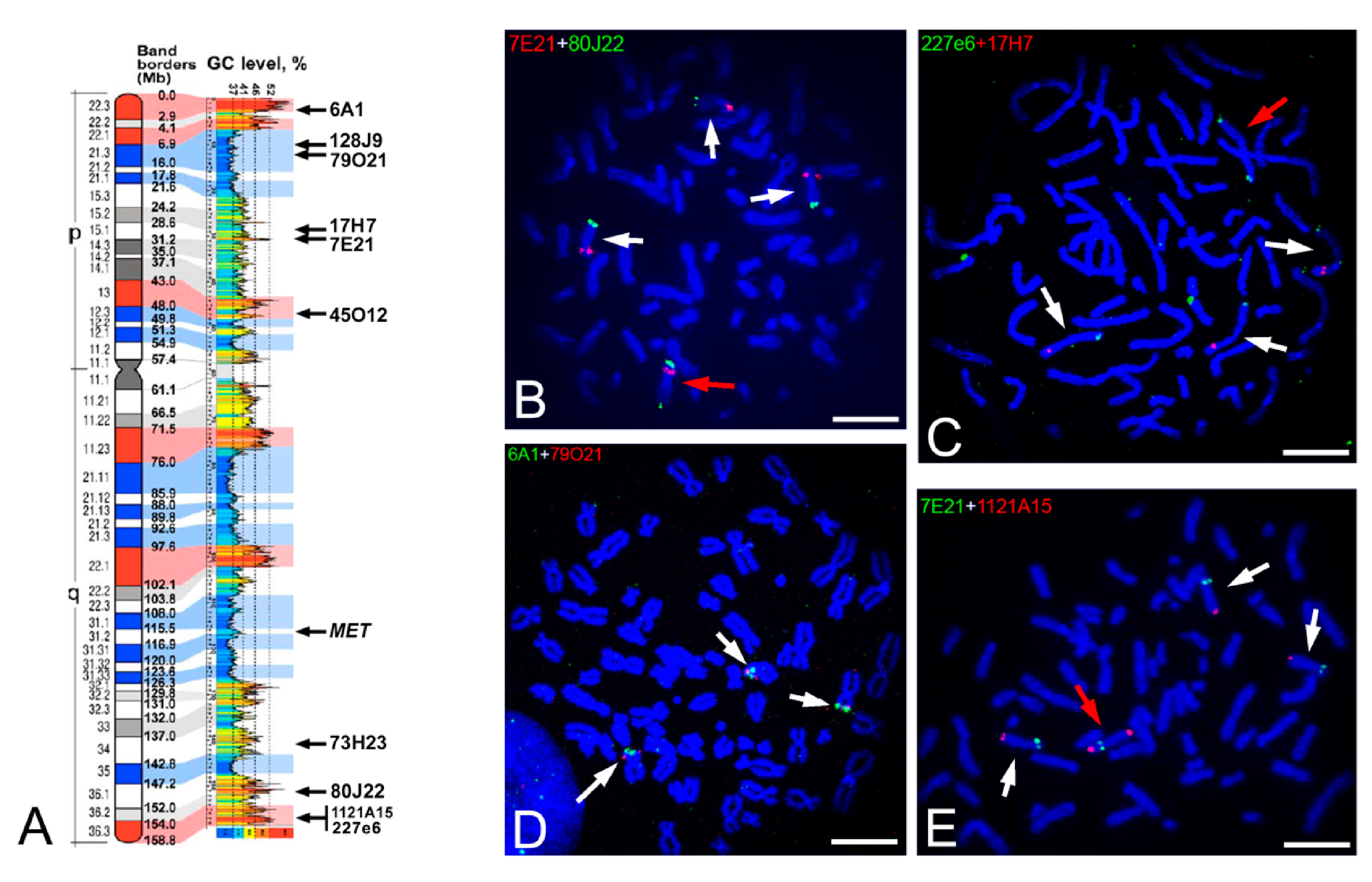 Ijms 22 02338 g002 Ijms 22 02338 g002