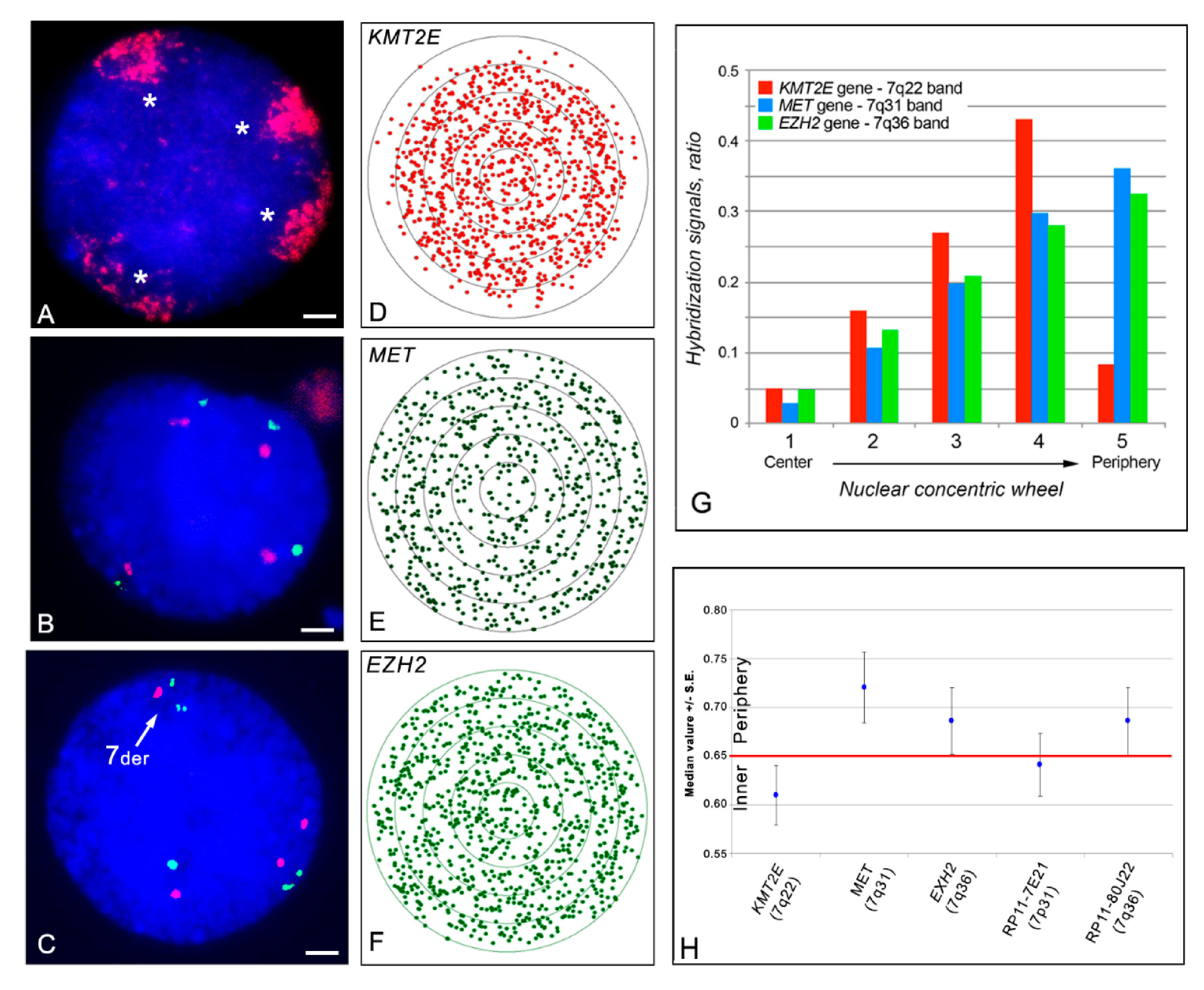 Ijms 22 02338 g003 Ijms 22 02338 g003