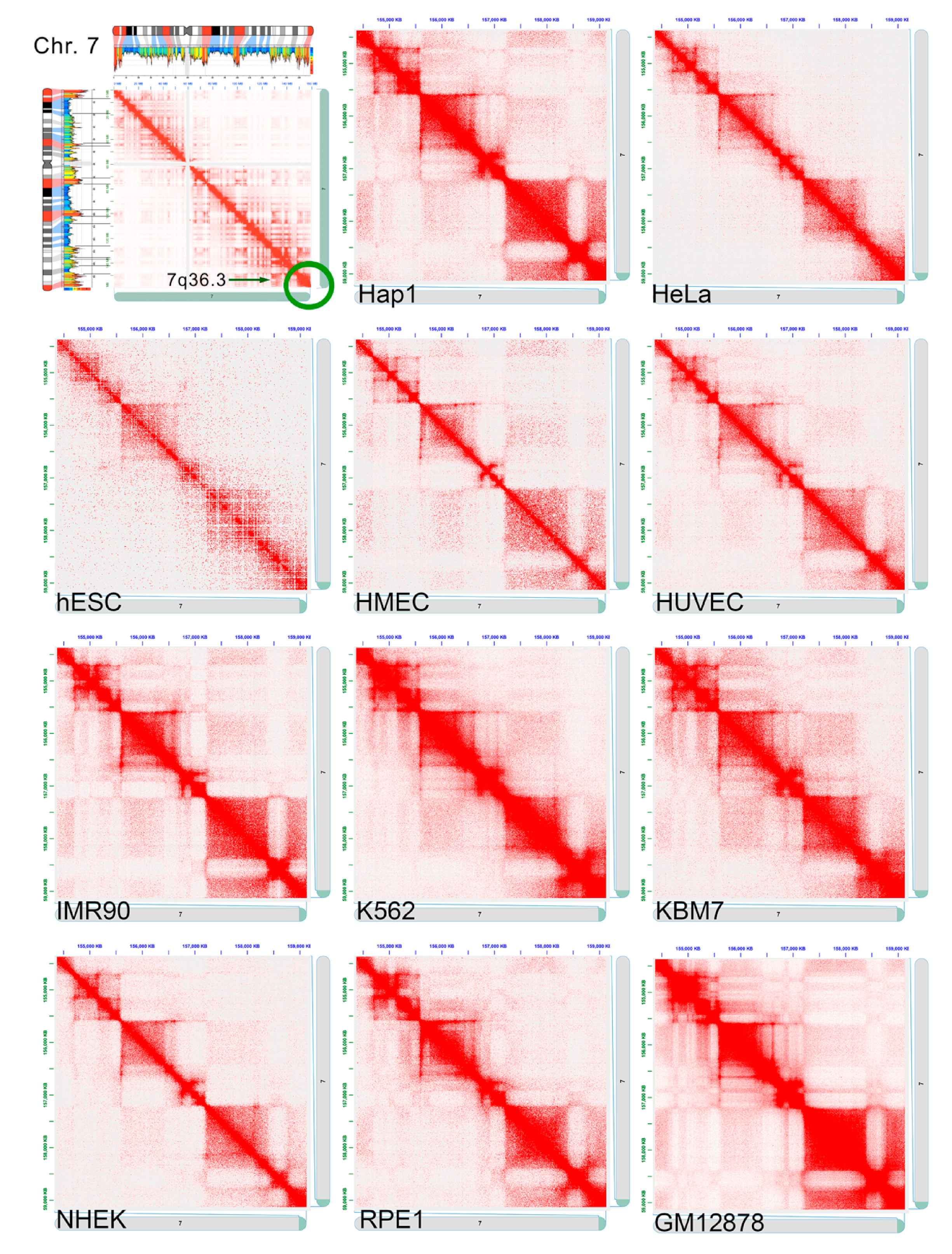 Ijms 22 02338 g004 Ijms 22 02338 g004