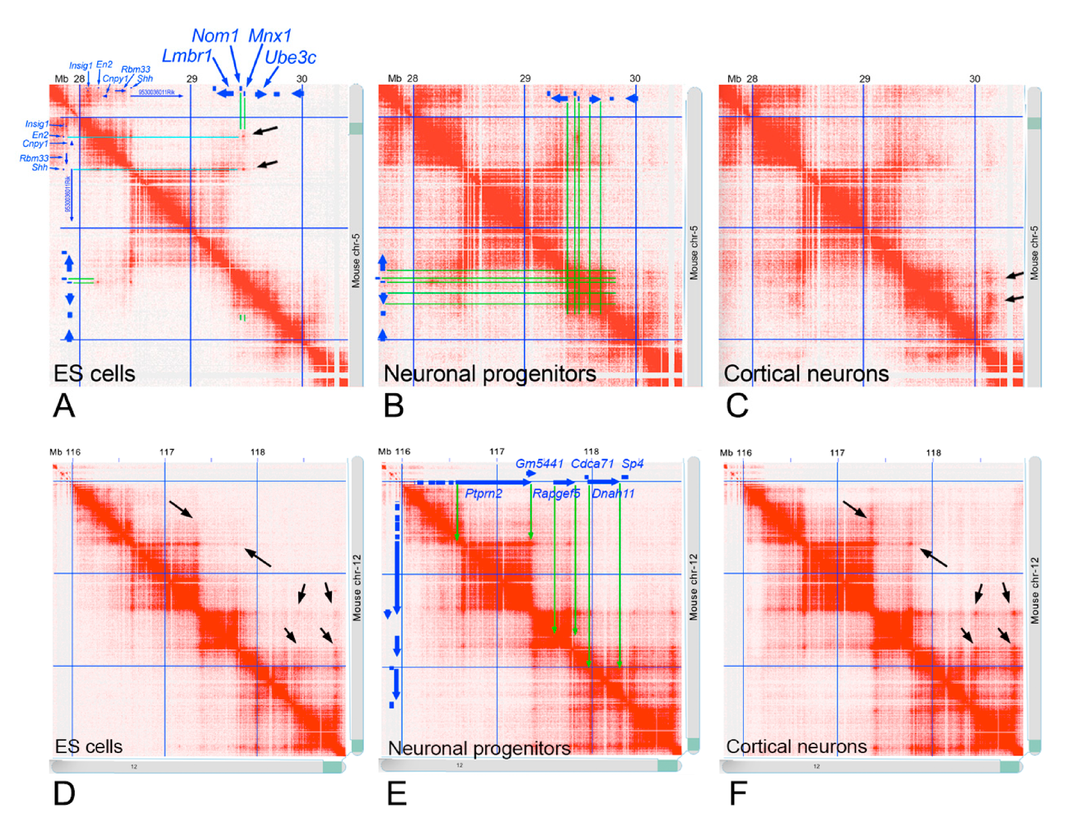 Ijms 22 02338 g006 Ijms 22 02338 g006