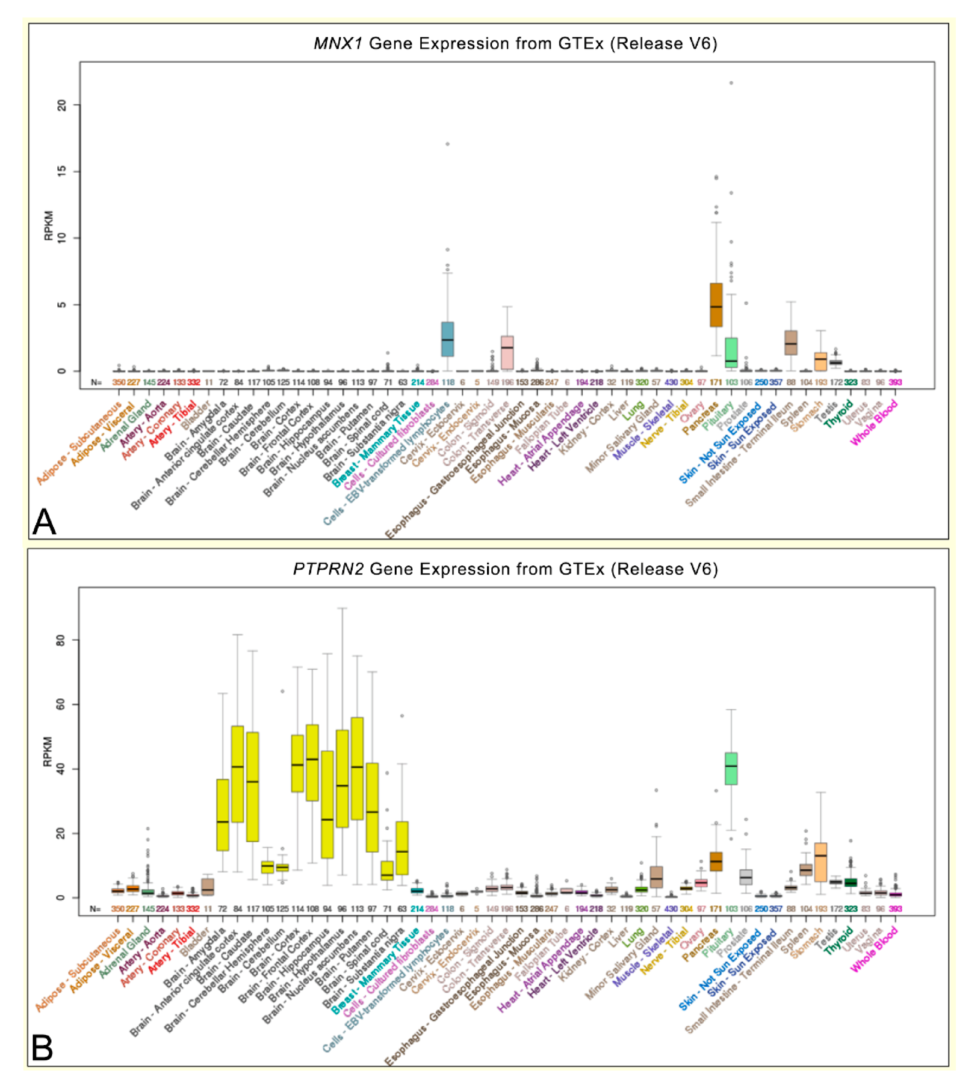 Ijms 22 02338 g007 Ijms 22 02338 g007