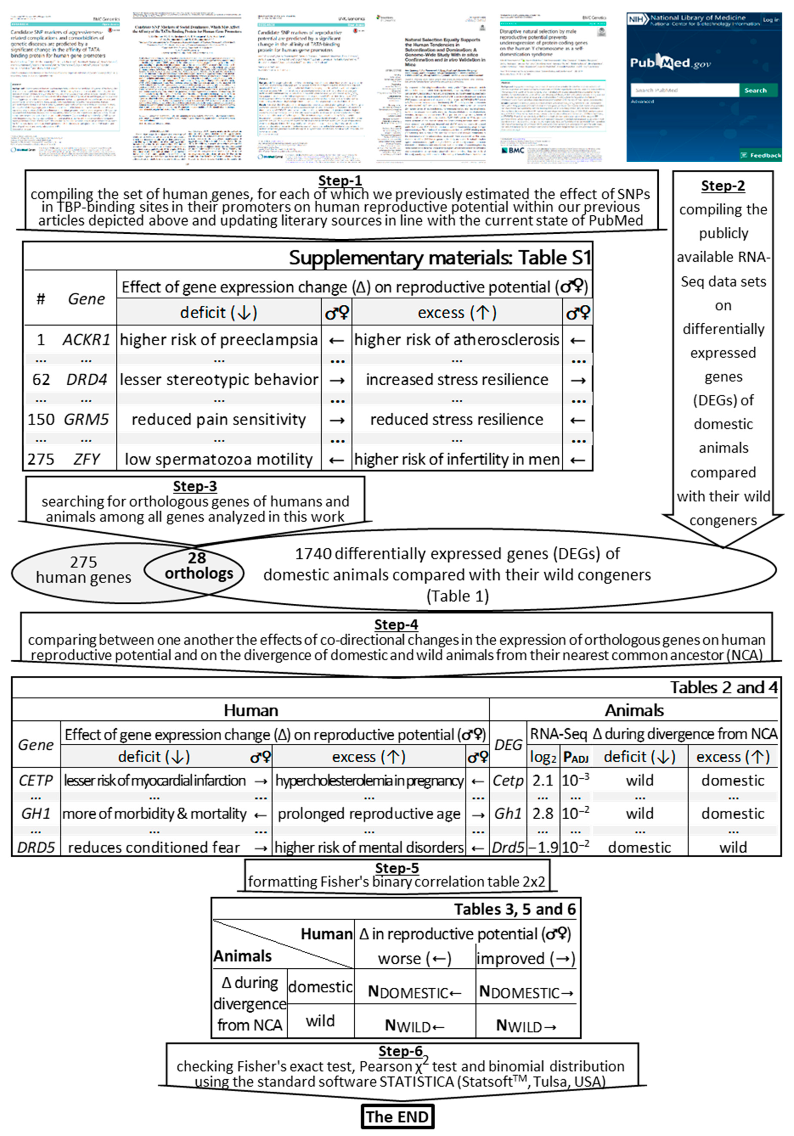Ijms 22 02346 g001 Ijms 22 02346 g001