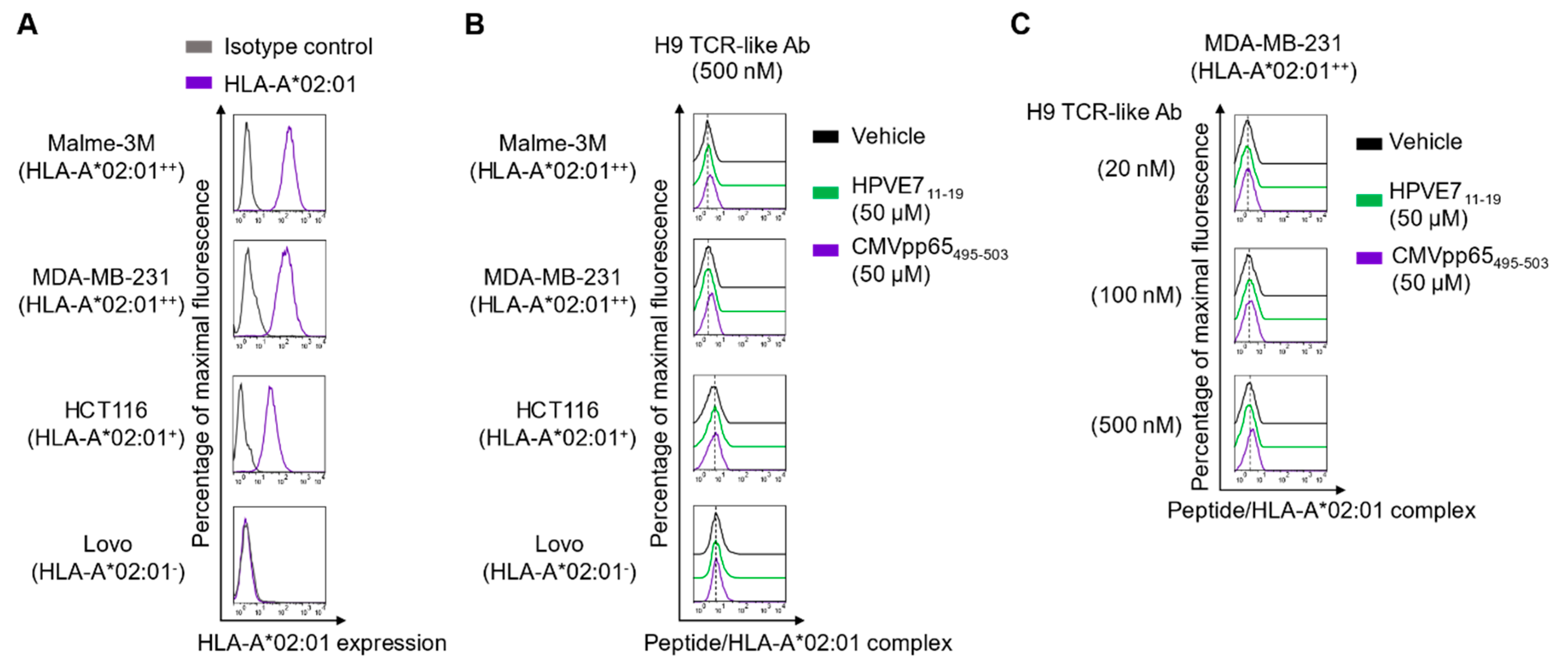 Ijms 22 02349 g001 Ijms 22 02349 g001