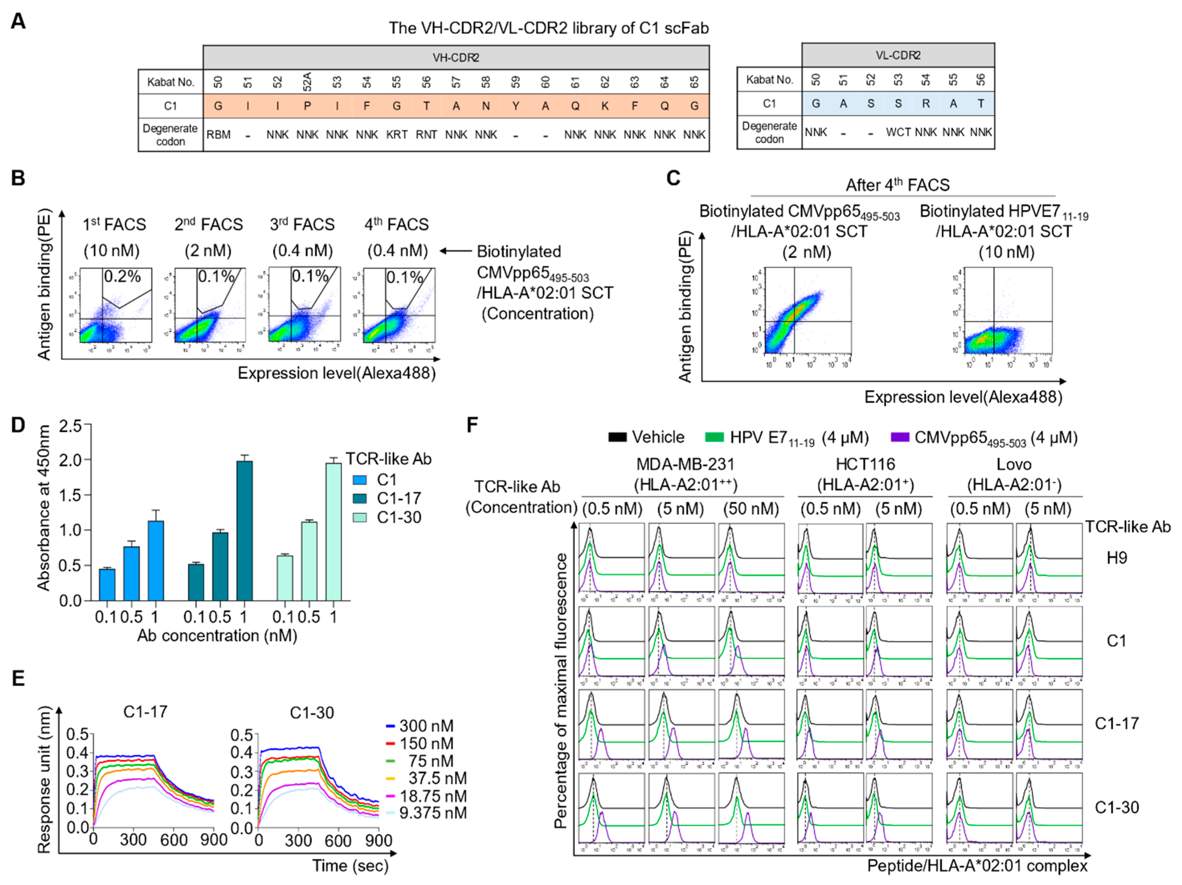 Ijms 22 02349 g003 Ijms 22 02349 g003