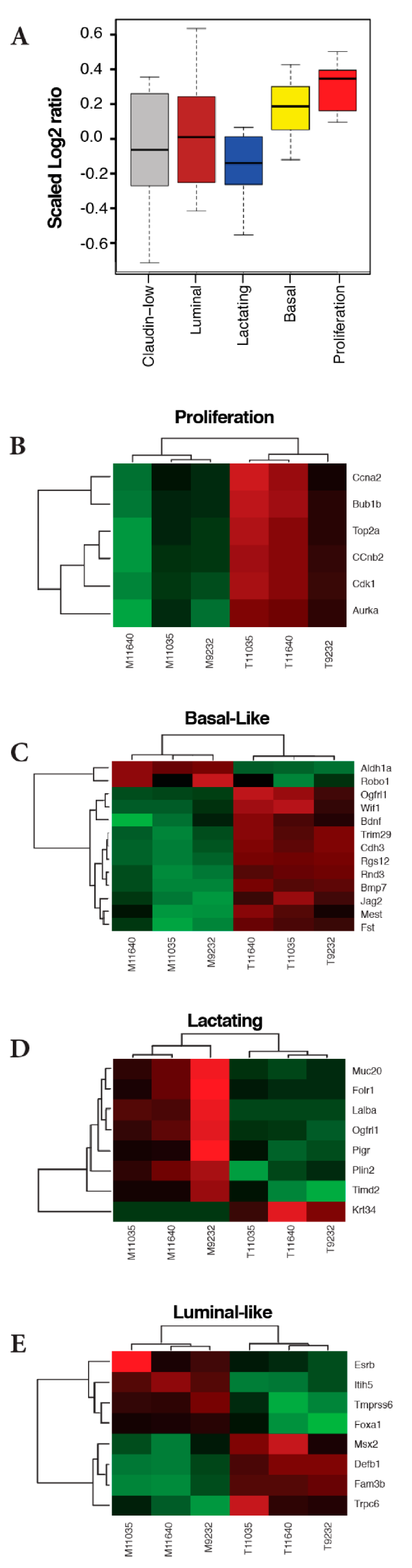 Ijms 22 02353 g003 Ijms 22 02353 g003