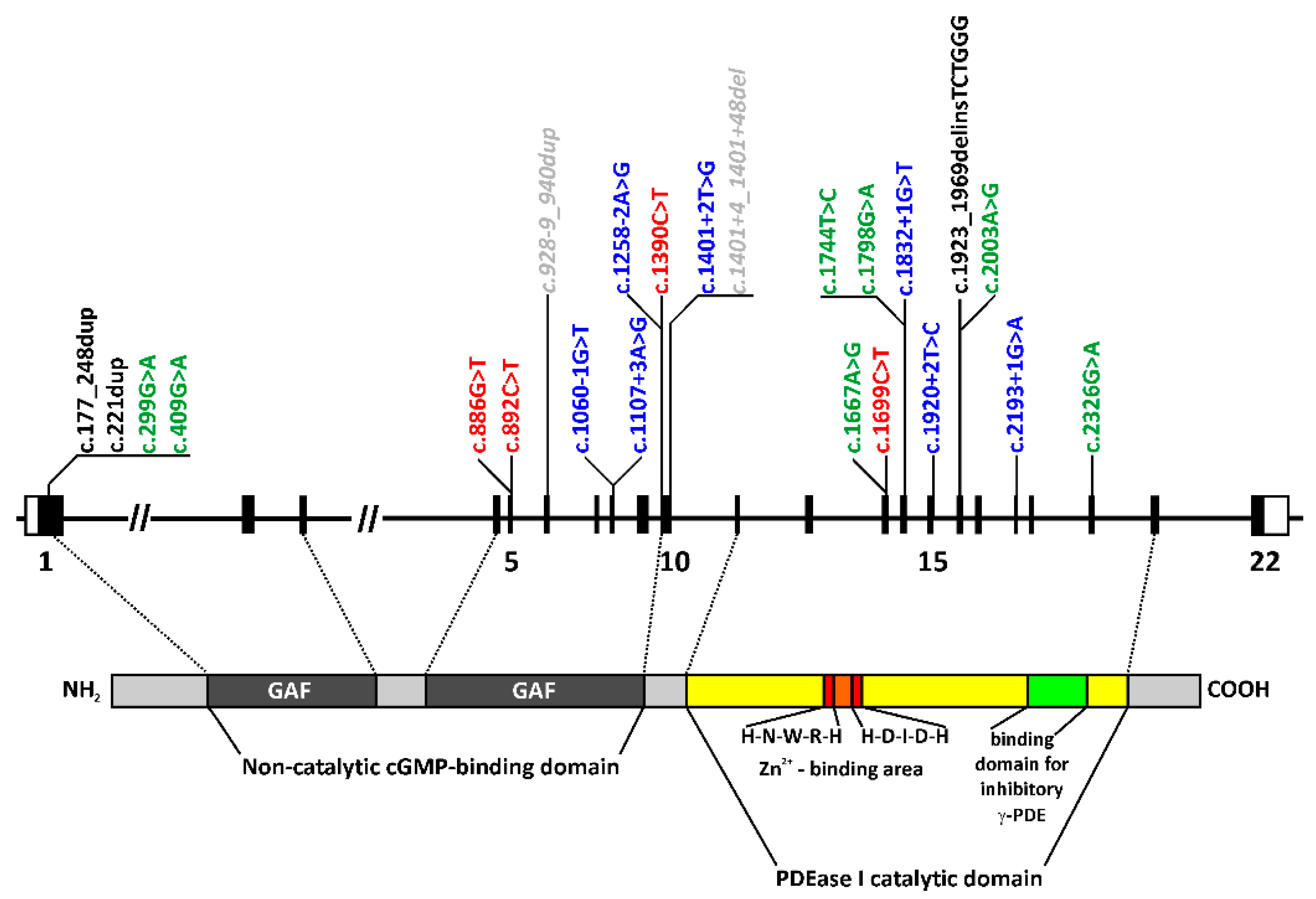 Ijms 22 02374 g001 Ijms 22 02374 g001