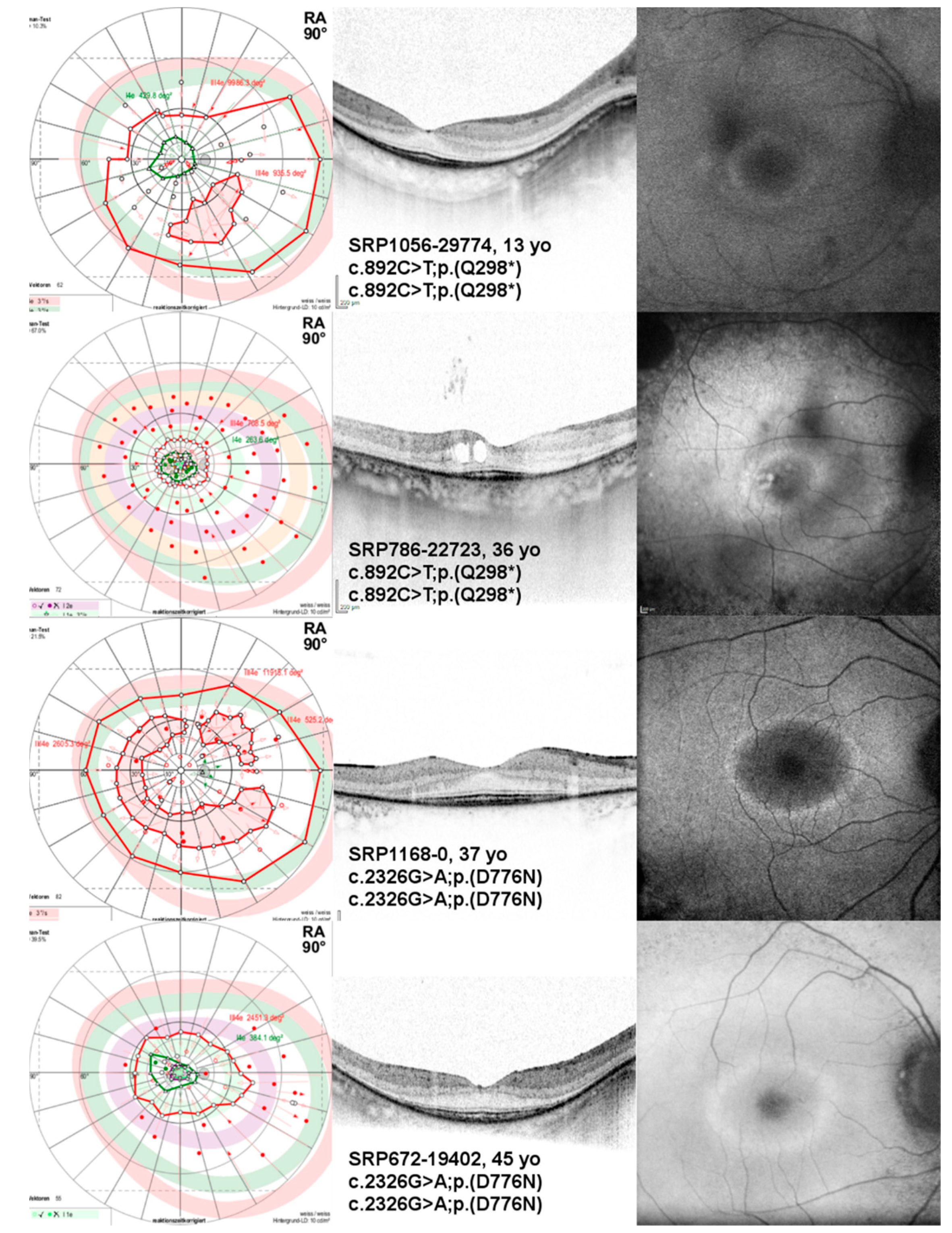 Ijms 22 02374 g003 Ijms 22 02374 g003