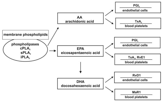 IJMS | Free Full-Text | Effects of Omega-3 Polyunsaturated Fatty Acids and  Their Metabolites on Haemostasis—Current Perspectives in Cardiovascular  Disease