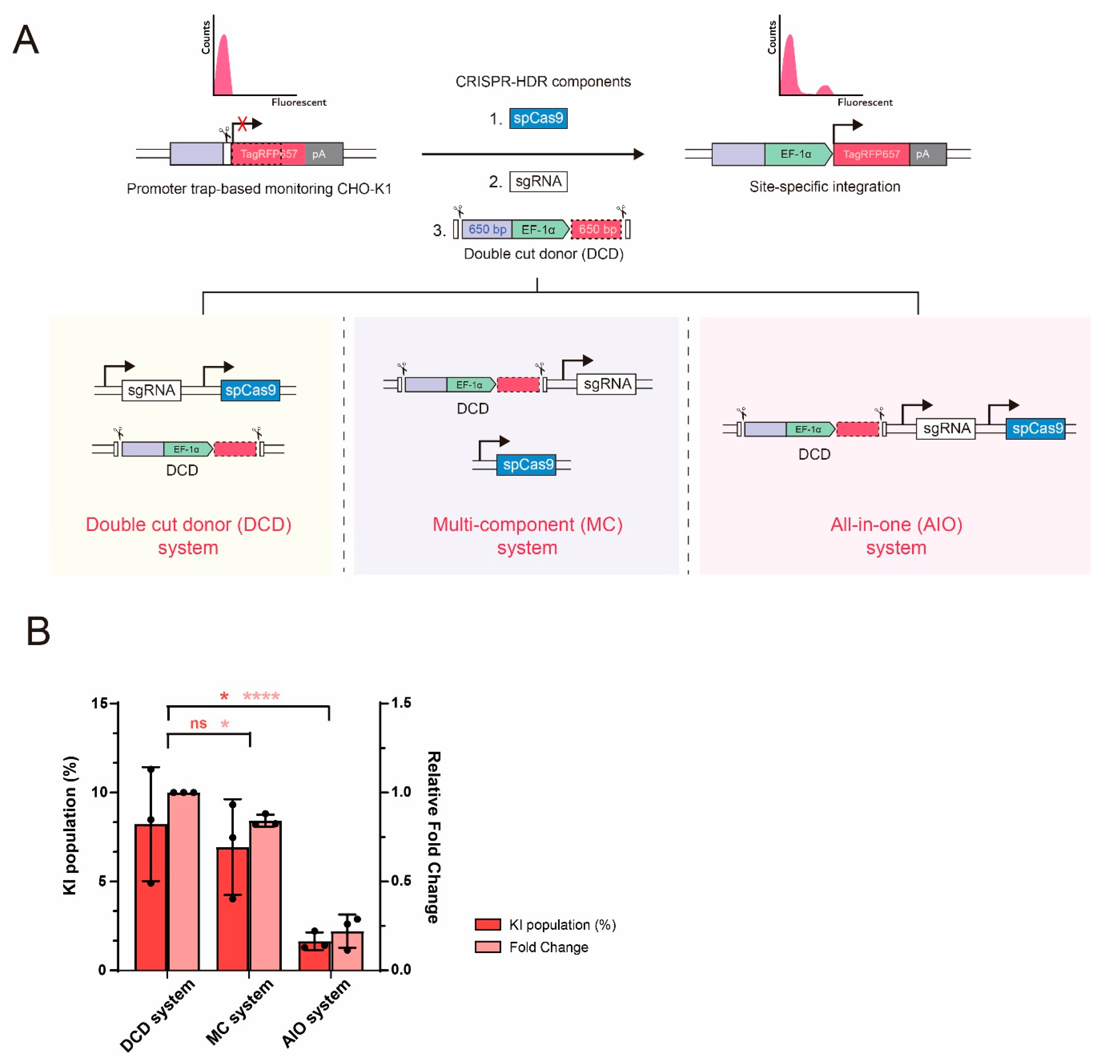 Ijms 22 02407 g001 Ijms 22 02407 g001