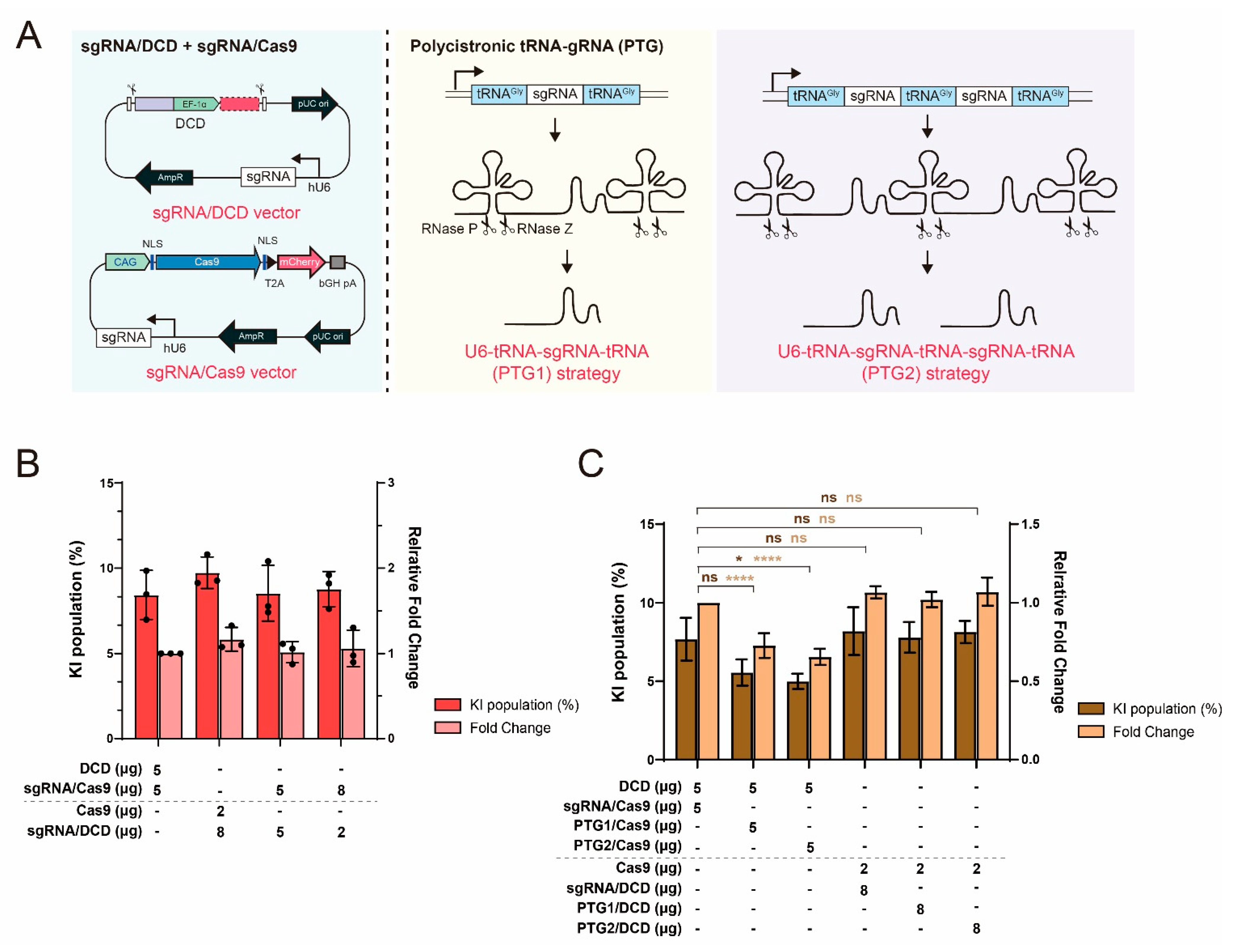 Ijms 22 02407 g003 Ijms 22 02407 g003