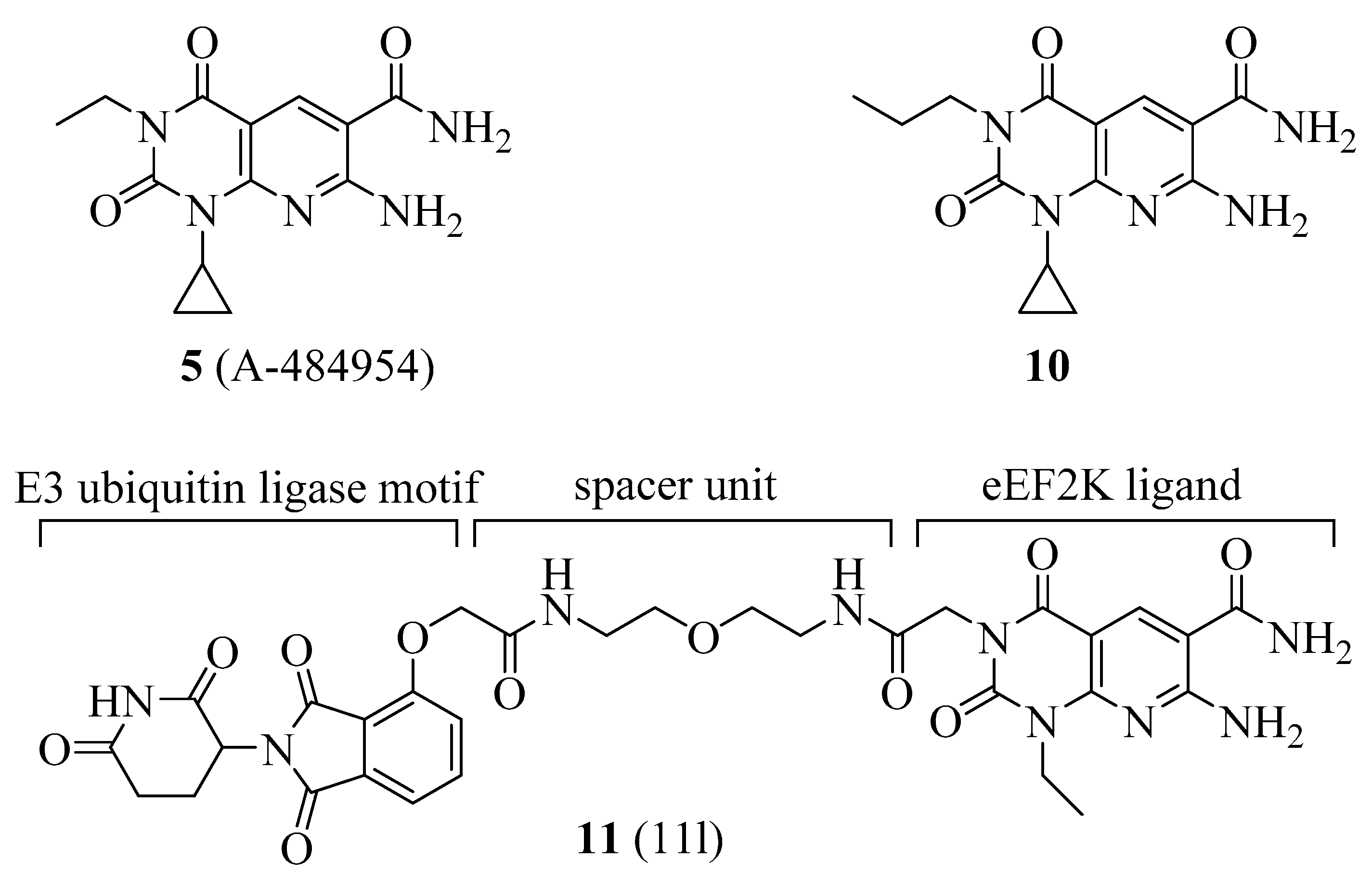 Ijms 22 02408 g005 Ijms 22 02408 g005