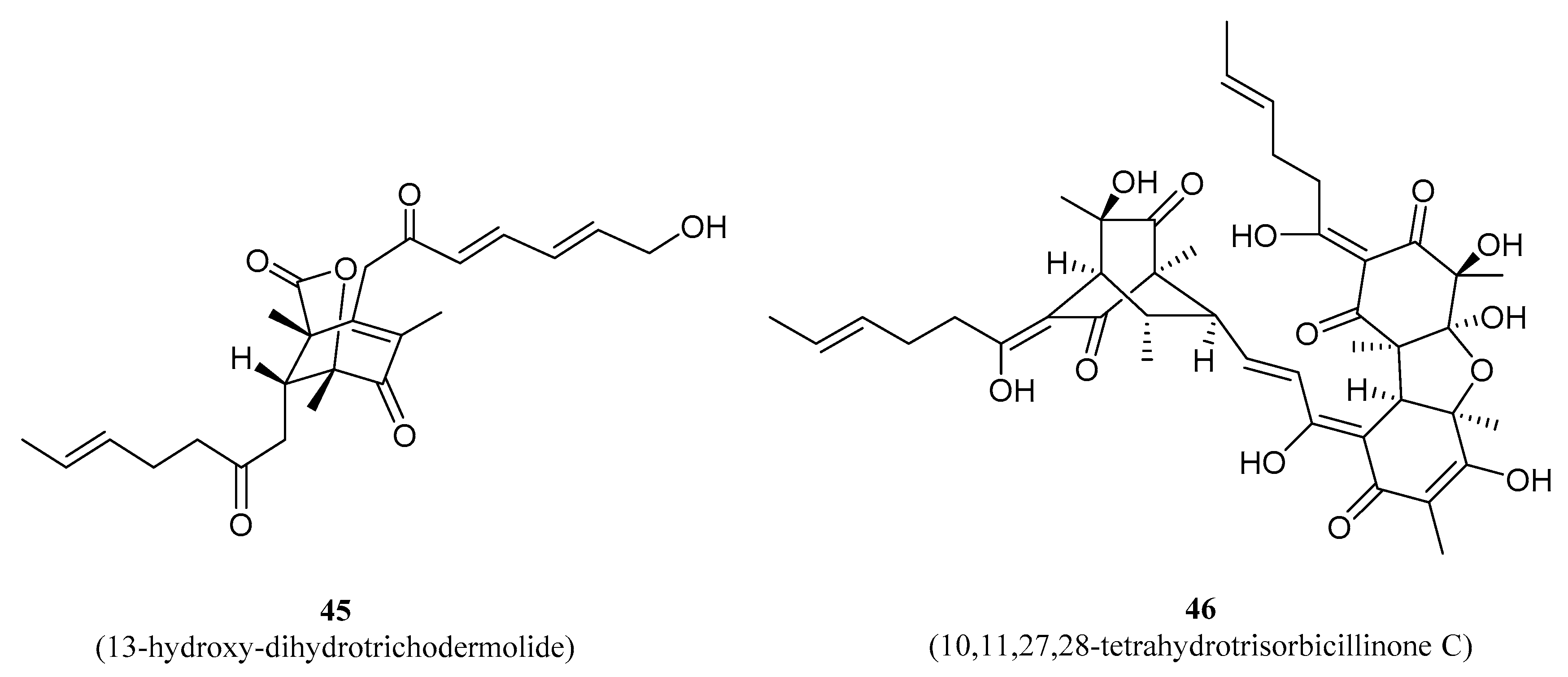Ijms 22 02408 g012 Ijms 22 02408 g012