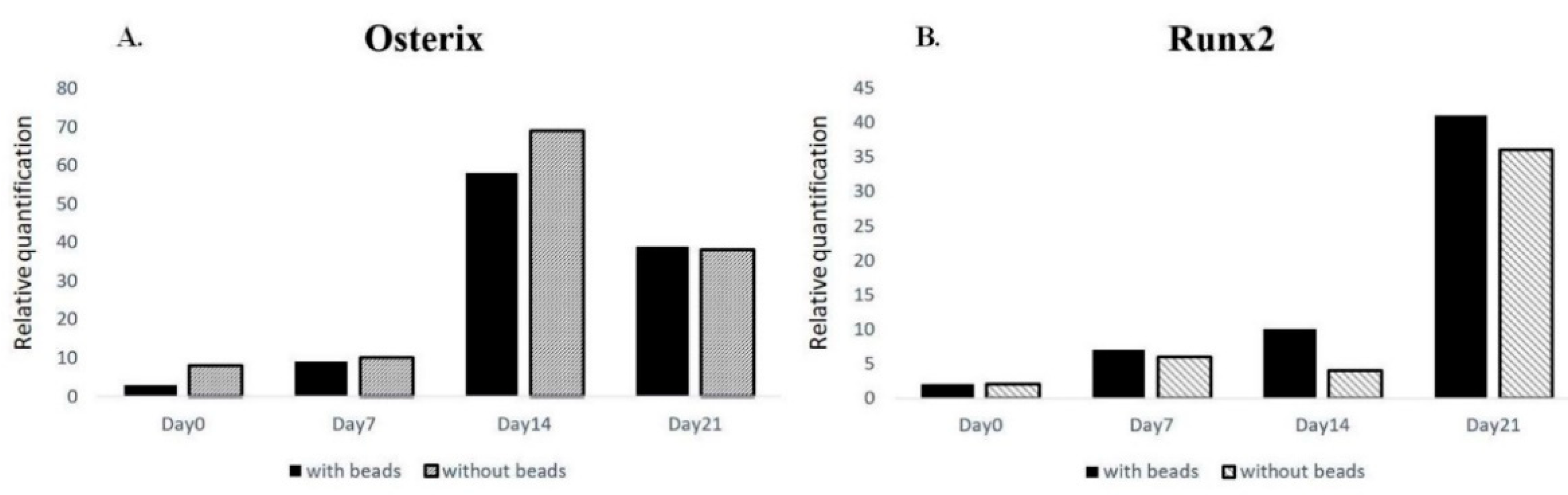 Ijms 22 02441 g004 Ijms 22 02441 g004