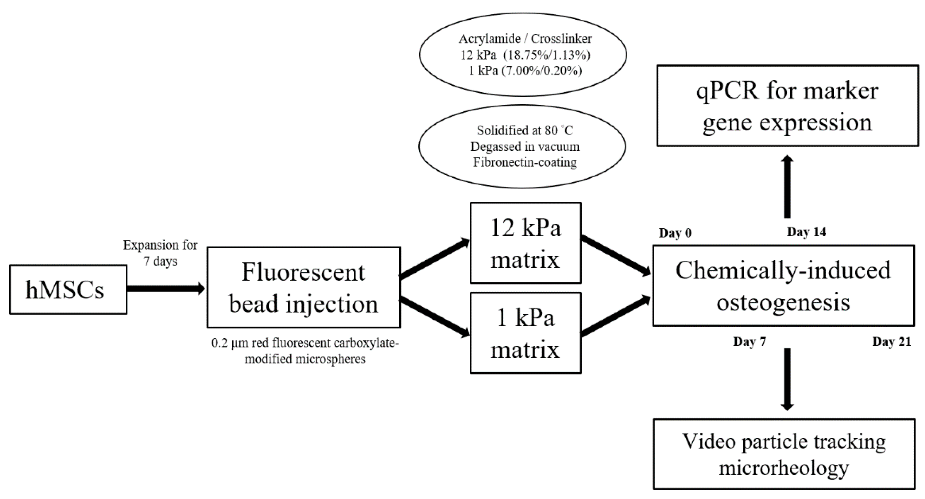 Ijms 22 02441 g0a1 Ijms 22 02441 g0a1