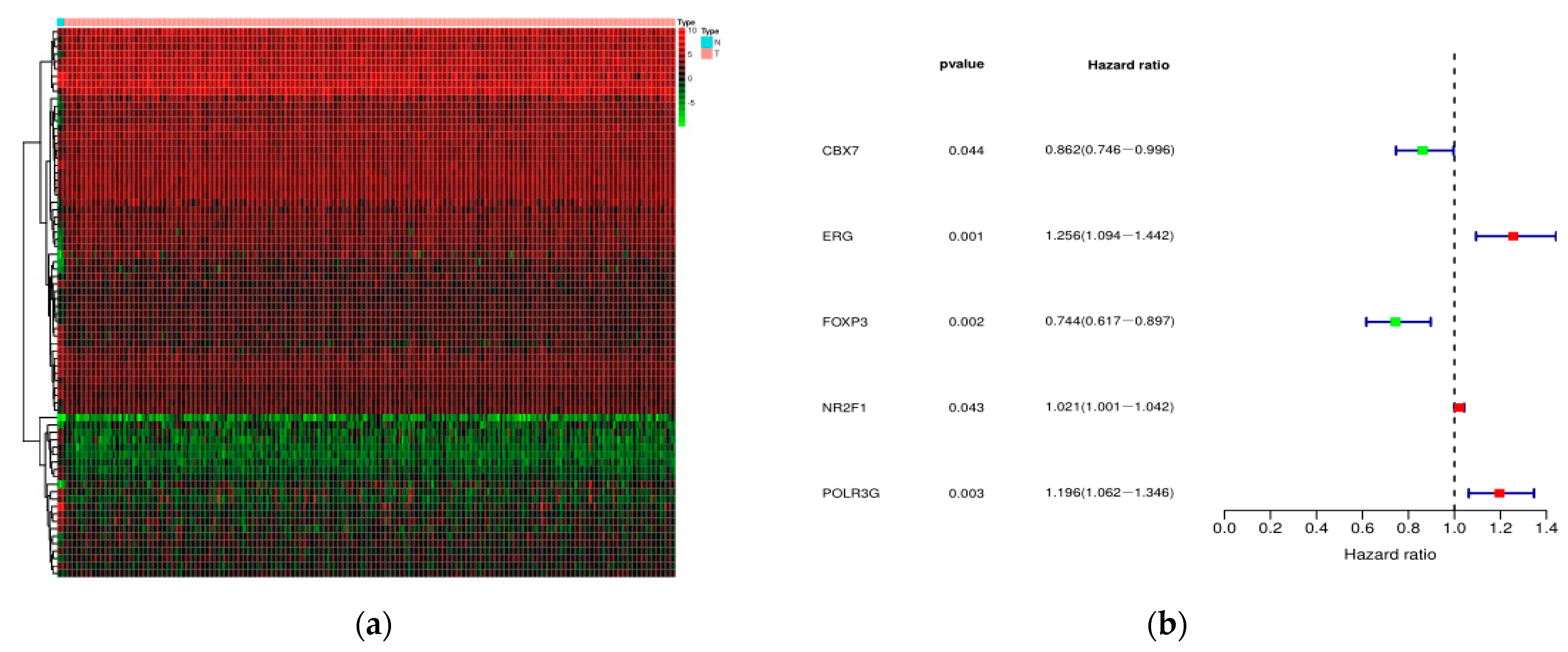 Ijms 22 02442 g005a Ijms 22 02442 g005a
