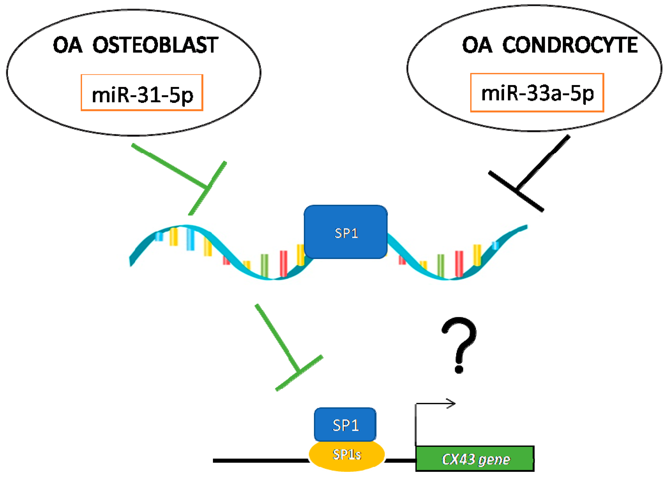 Ijms 22 02471 g007 Ijms 22 02471 g007