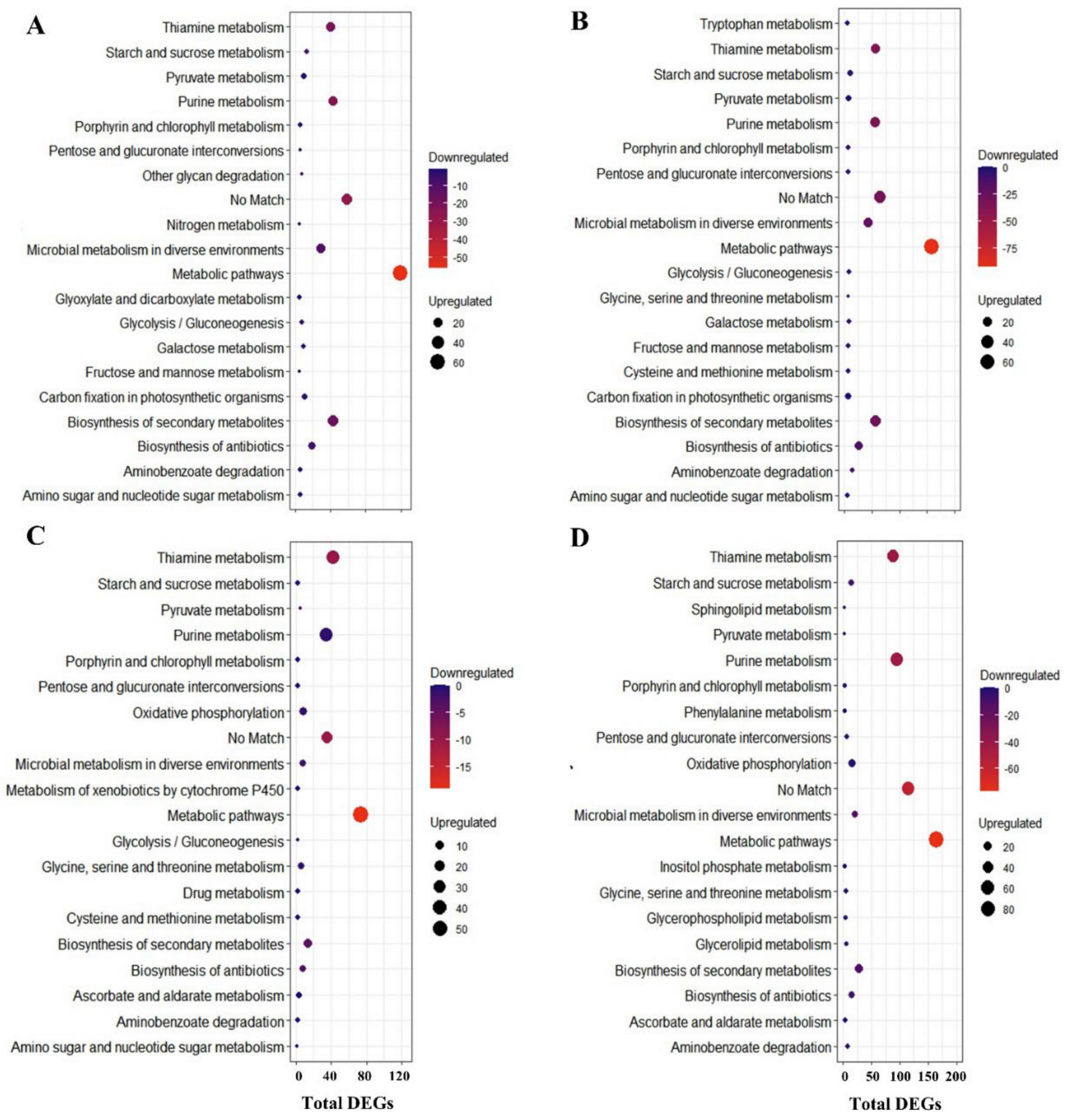 Ijms 22 02481 g005 Ijms 22 02481 g005