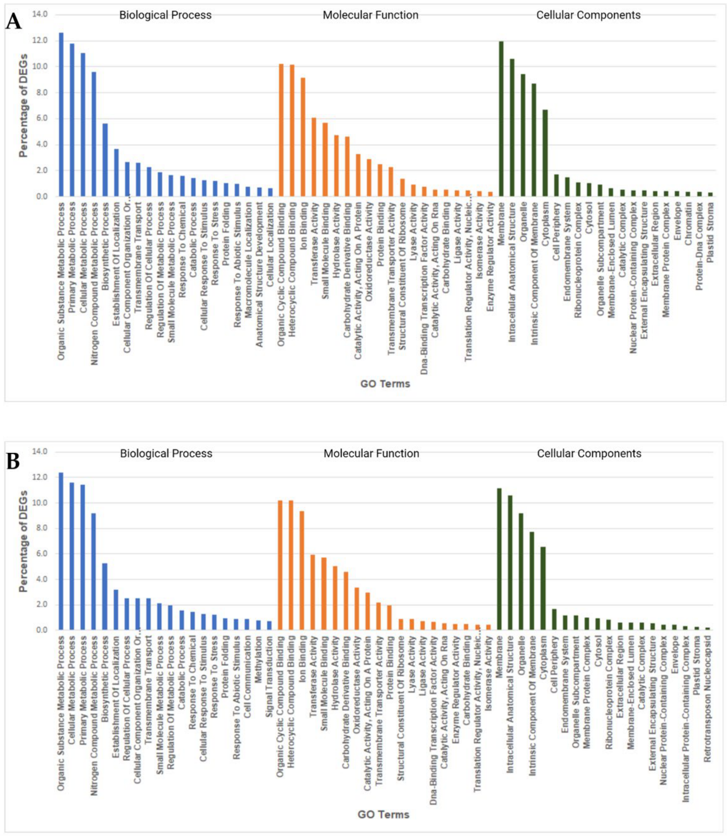 Ijms 22 02481 g006 Ijms 22 02481 g006