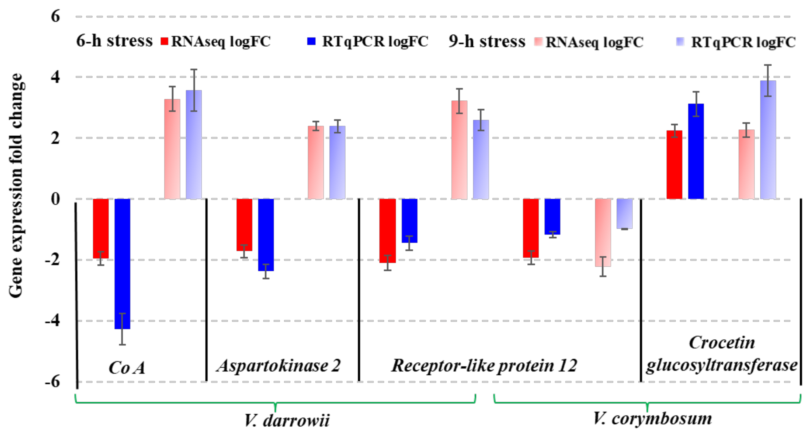 Ijms 22 02481 g008 Ijms 22 02481 g008