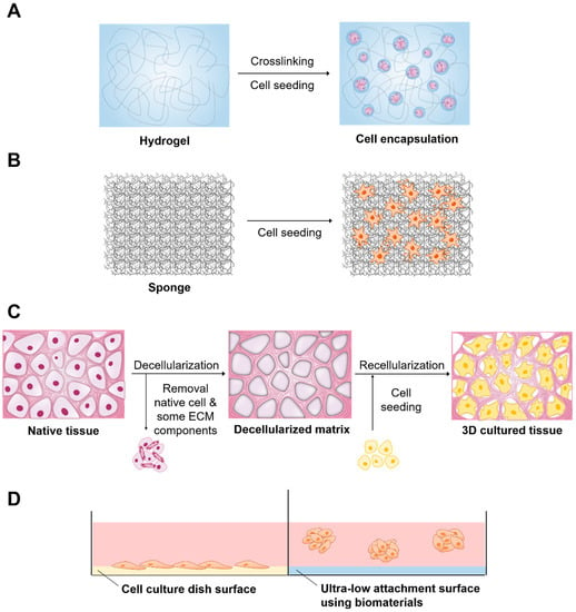 Biomaterials in 3D Cell Applications: \