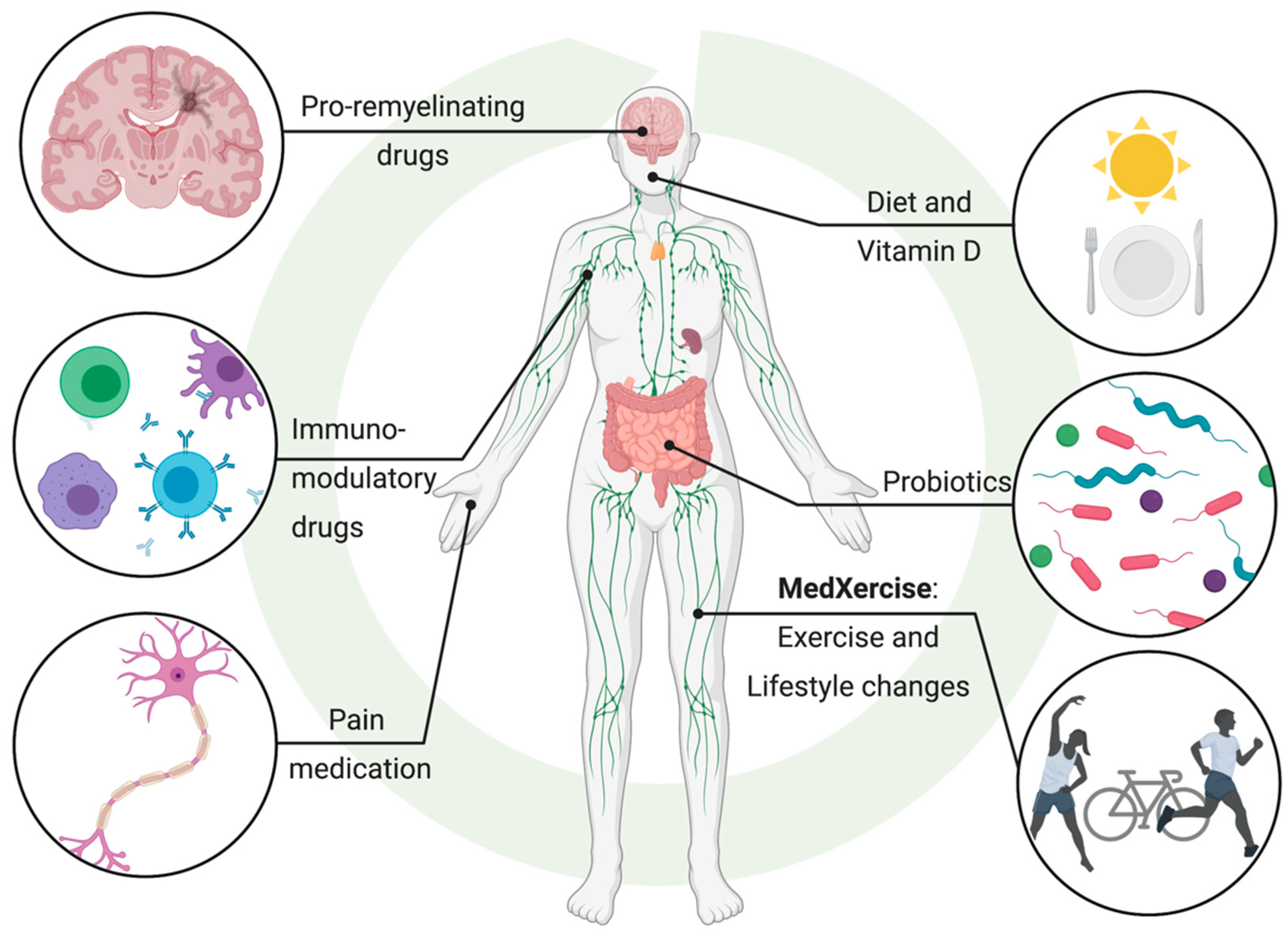 Ijms 22 02498 g003 Ijms 22 02498 g003