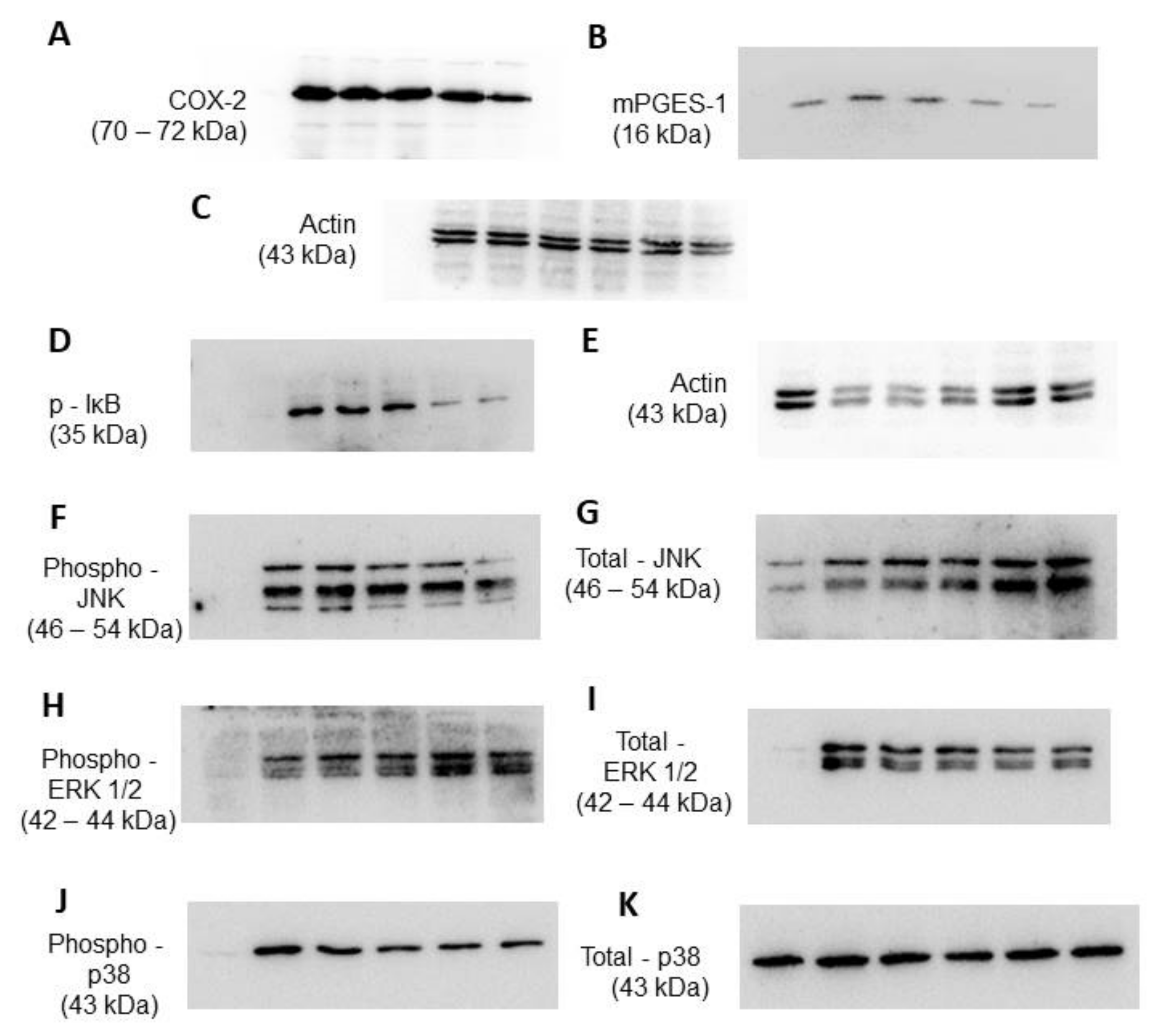 Ijms 22 02503 g0a1 Ijms 22 02503 g0a1