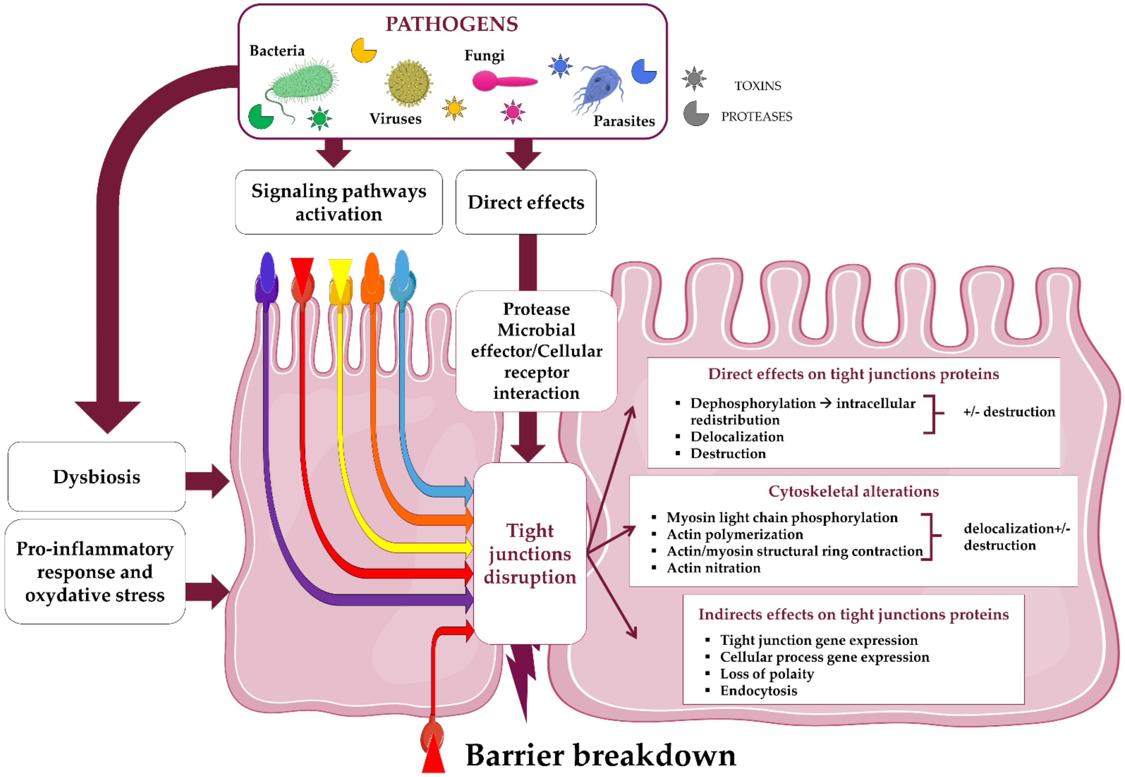 Ijms 22 02506 g003 Ijms 22 02506 g003