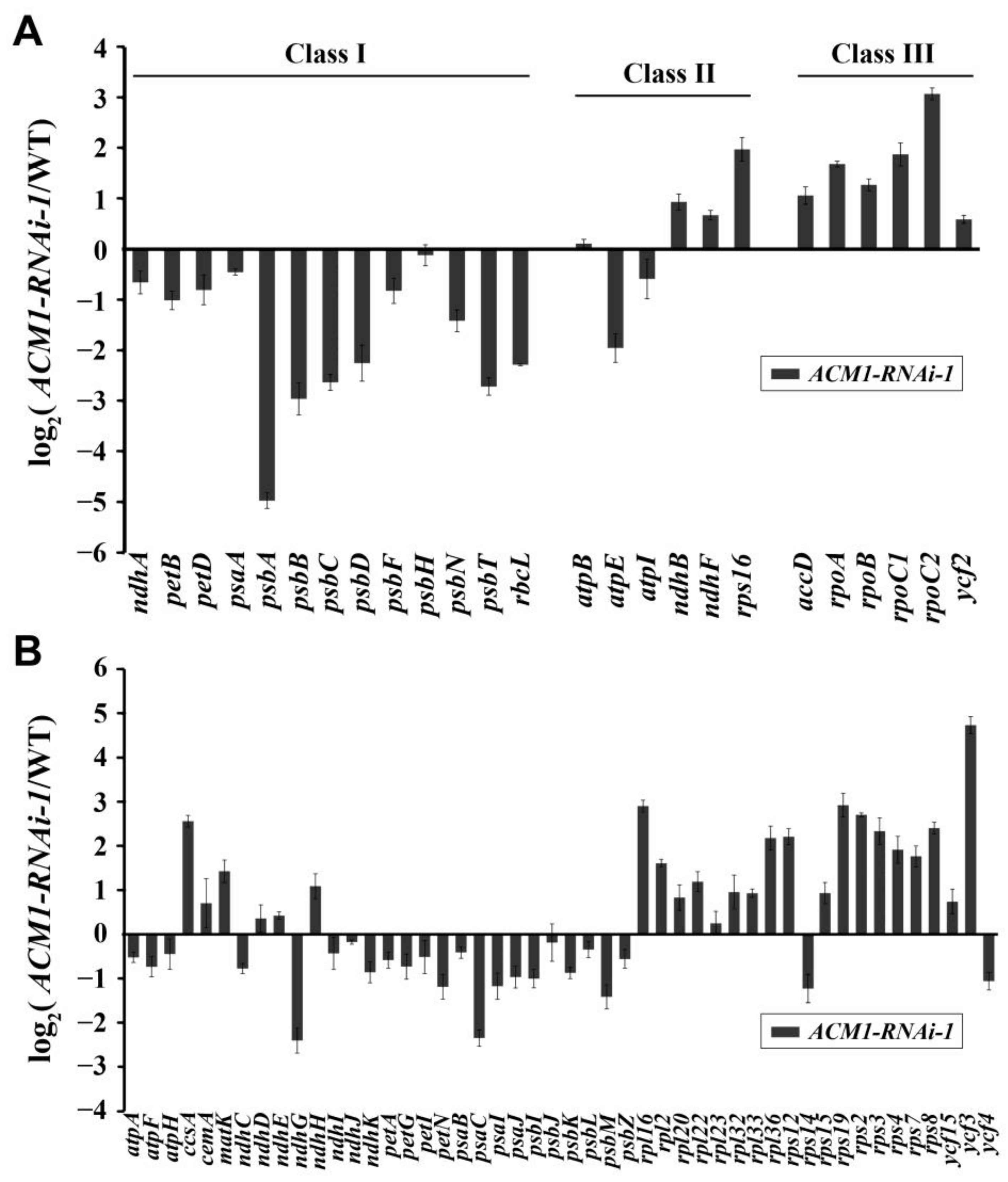 Ijms 22 02512 g007 Ijms 22 02512 g007