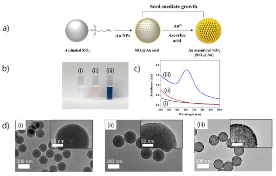 Ijms Free Full Text Synthesis Of Densely Immobilized Gold Assembled Silica Nanostructures 5377