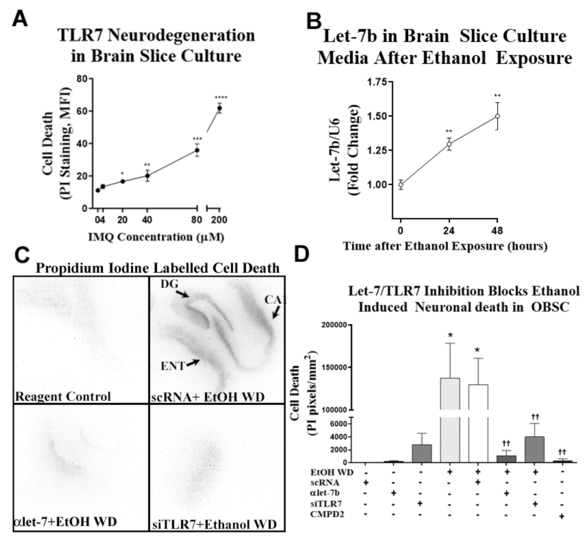 Ijms 22 02547 g006 Ijms 22 02547 g006