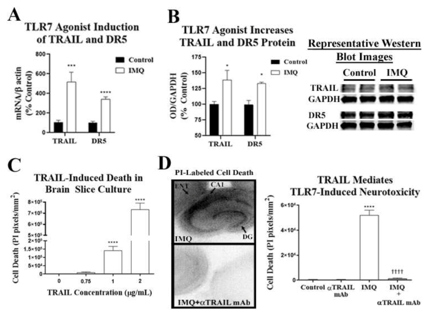 Ijms 22 02547 g007 Ijms 22 02547 g007