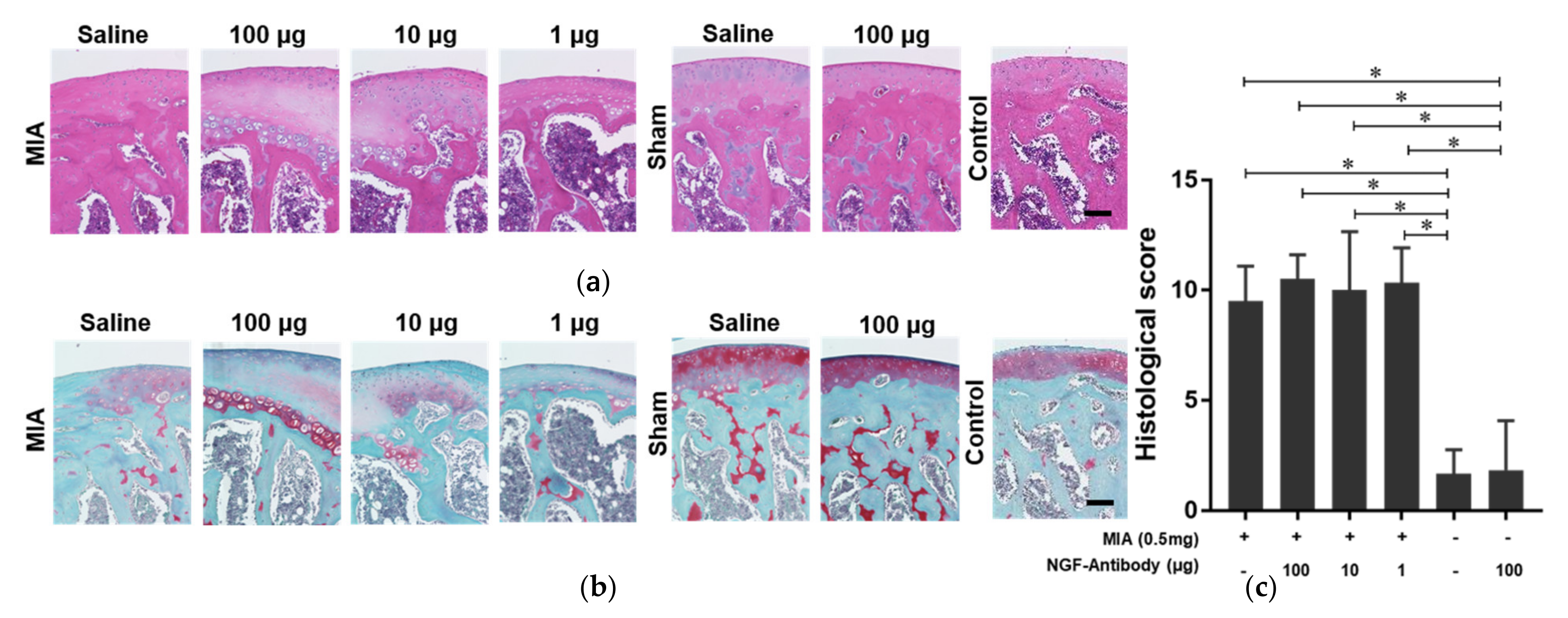 Ijms 22 02552 g003 Ijms 22 02552 g003