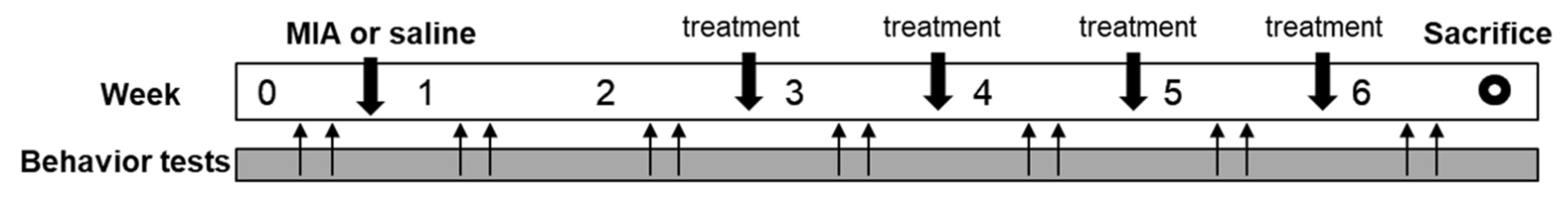 Ijms 22 02552 g005 Ijms 22 02552 g005