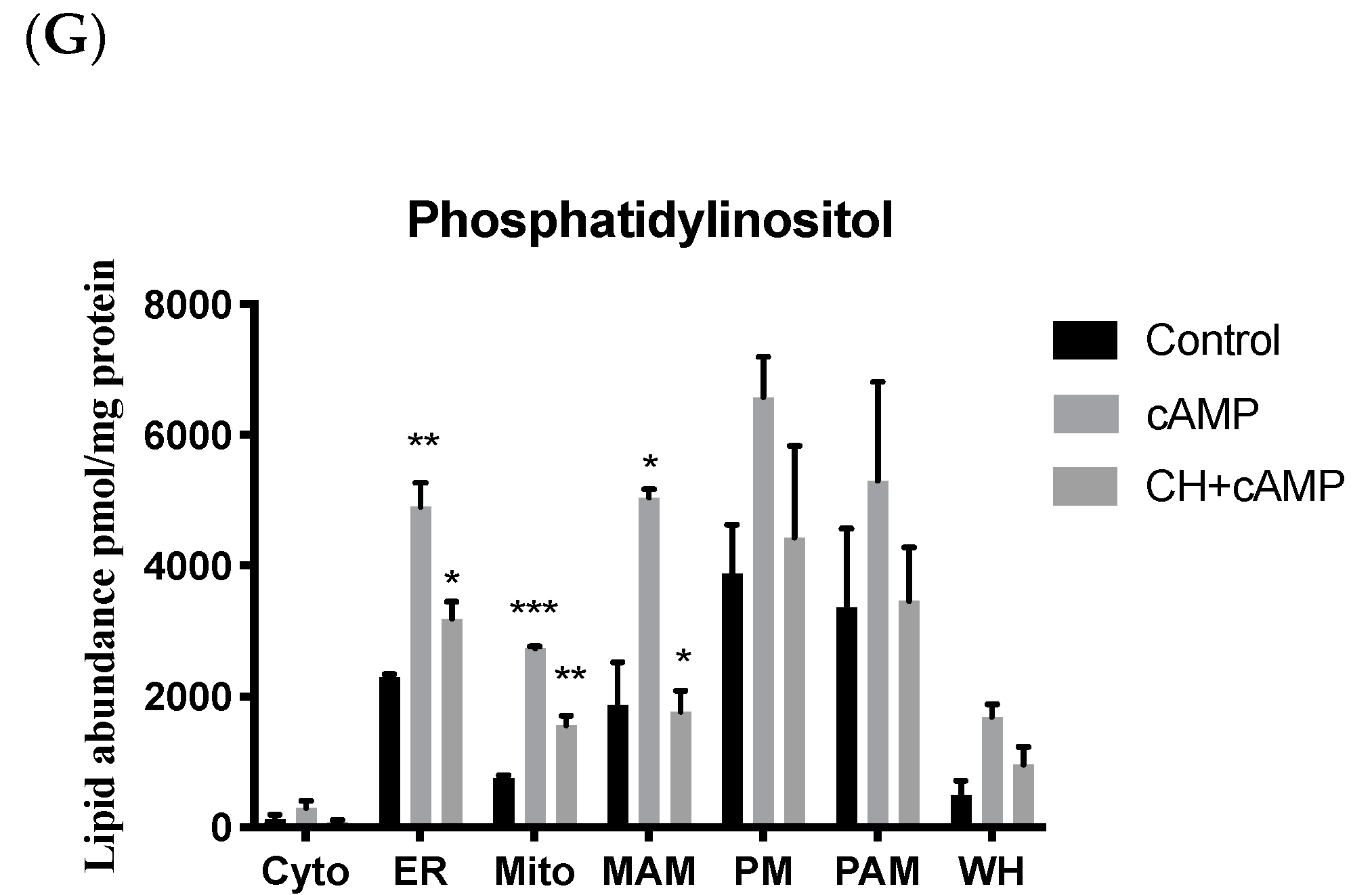 Ijms 22 02554 g004b Ijms 22 02554 g004b