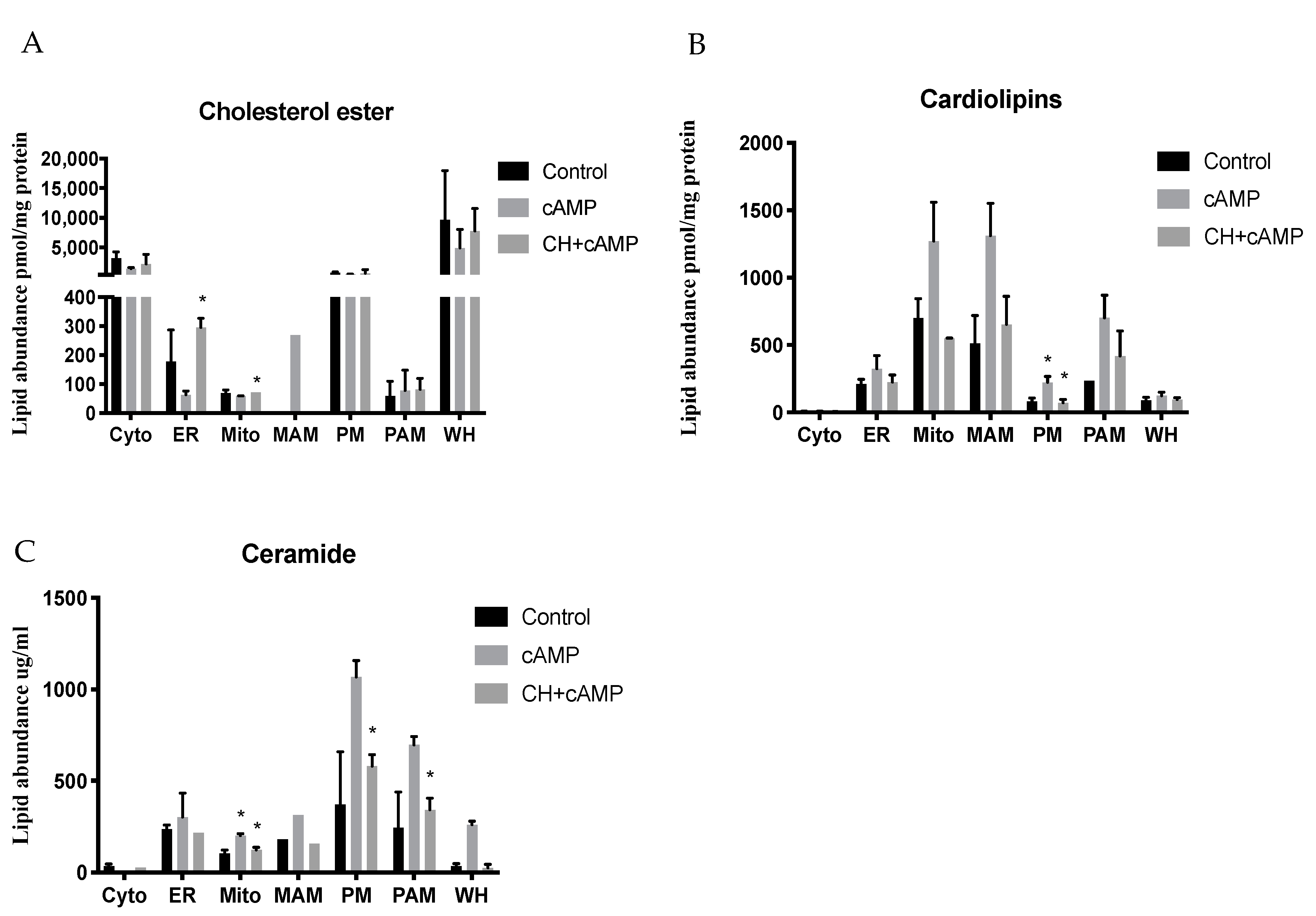 Ijms 22 02554 g005a Ijms 22 02554 g005a