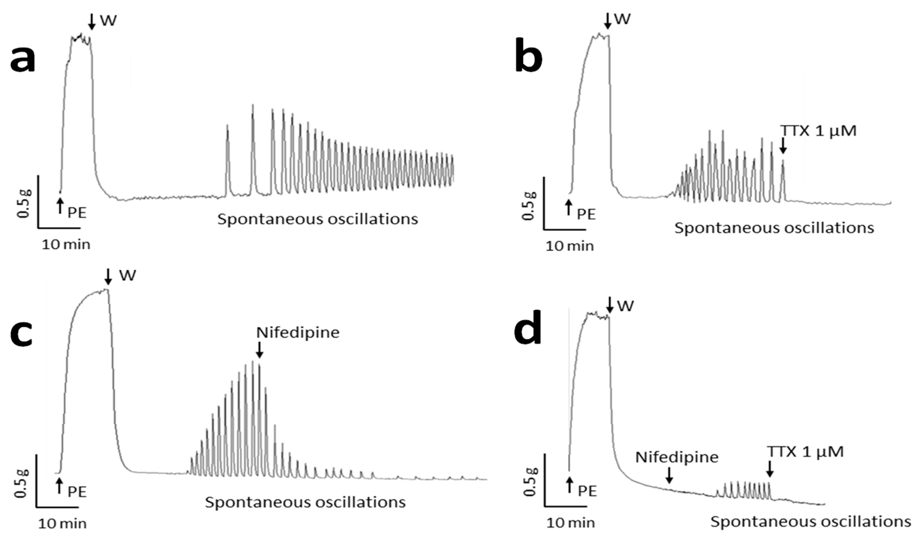 Ijms 22 02570 g001 Ijms 22 02570 g001