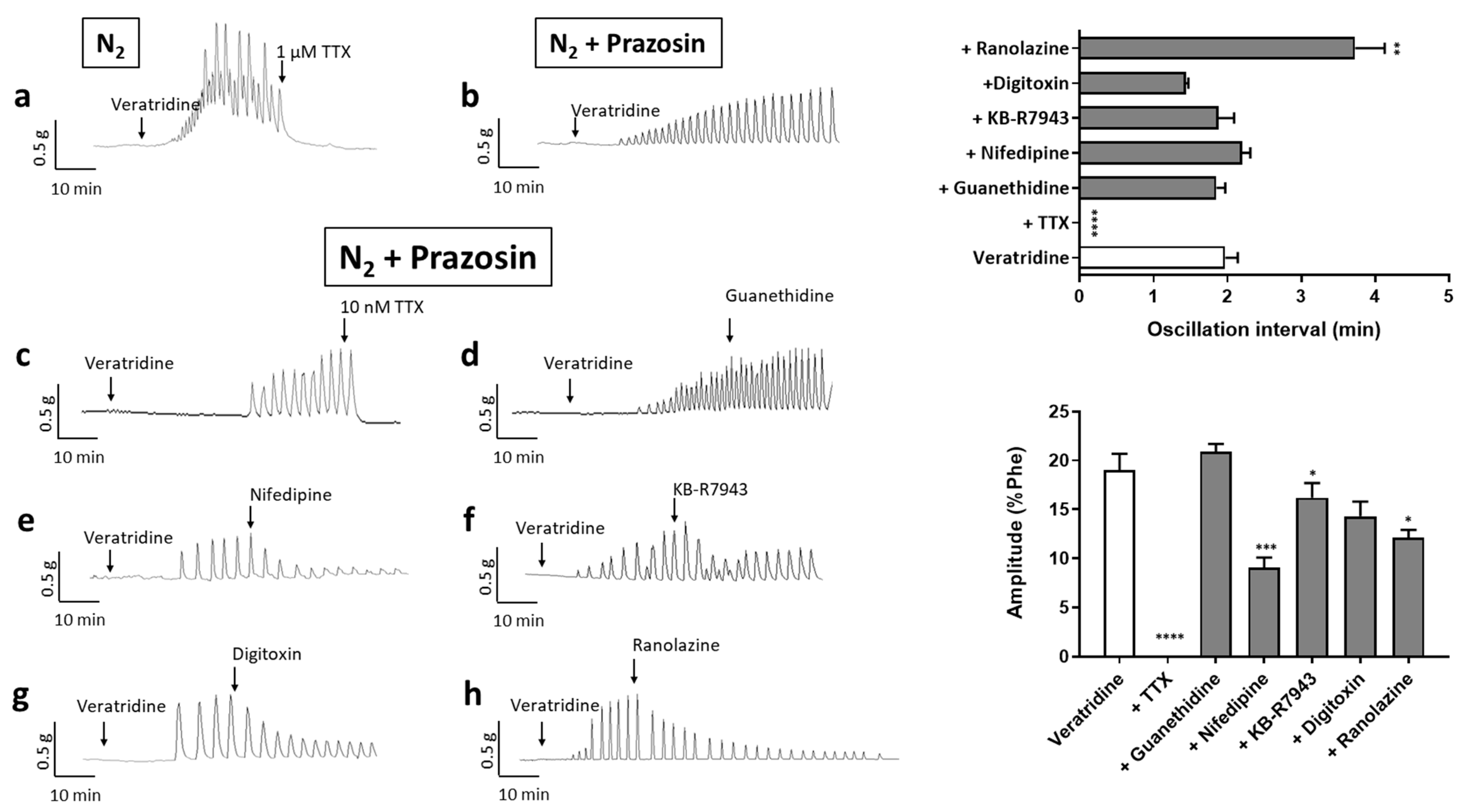 Ijms 22 02570 g005 Ijms 22 02570 g005