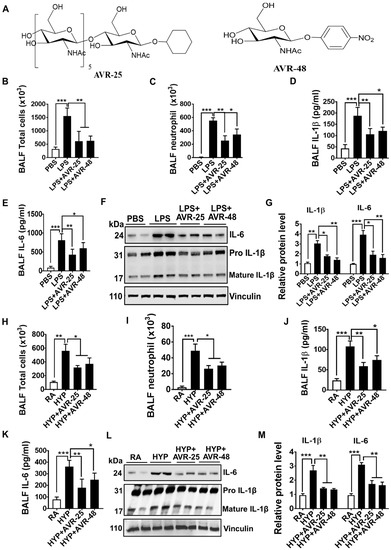 IJMS | Free Full-Text | Small Immunomodulatory Molecules as Potential  Therapeutics in Experimental Murine Models of Acute Lung Injury (ALI)/Acute  Respiratory Distress Syndrome (ARDS) | HTML