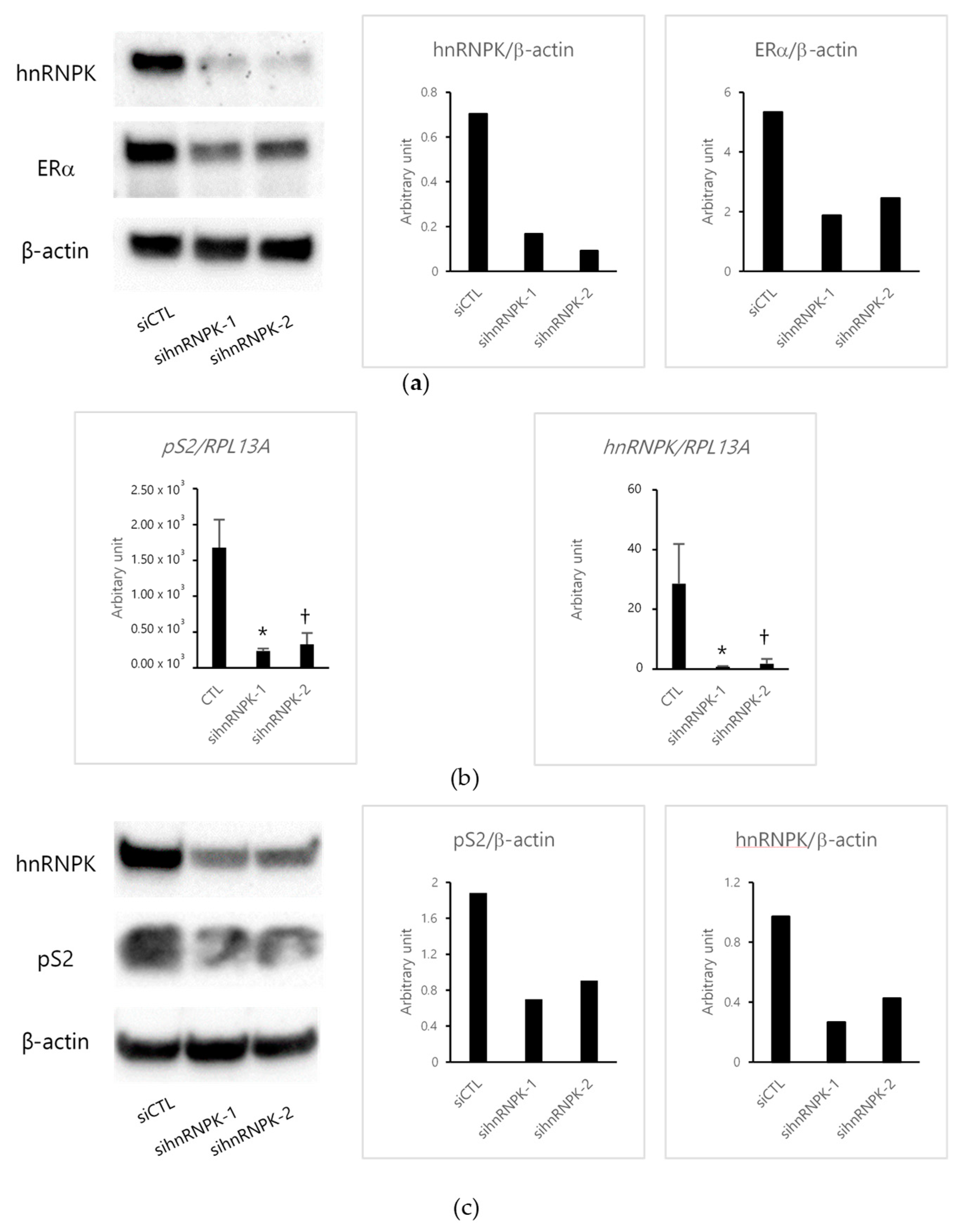 Ijms 22 02581 g002 Ijms 22 02581 g002