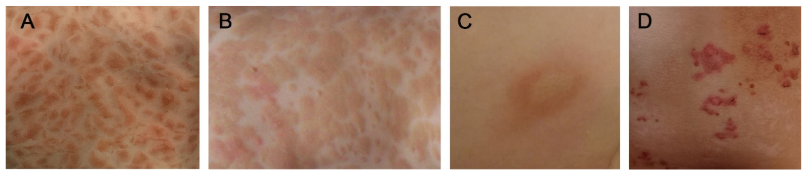 Ijms 22 02586 g001 Ijms 22 02586 g001